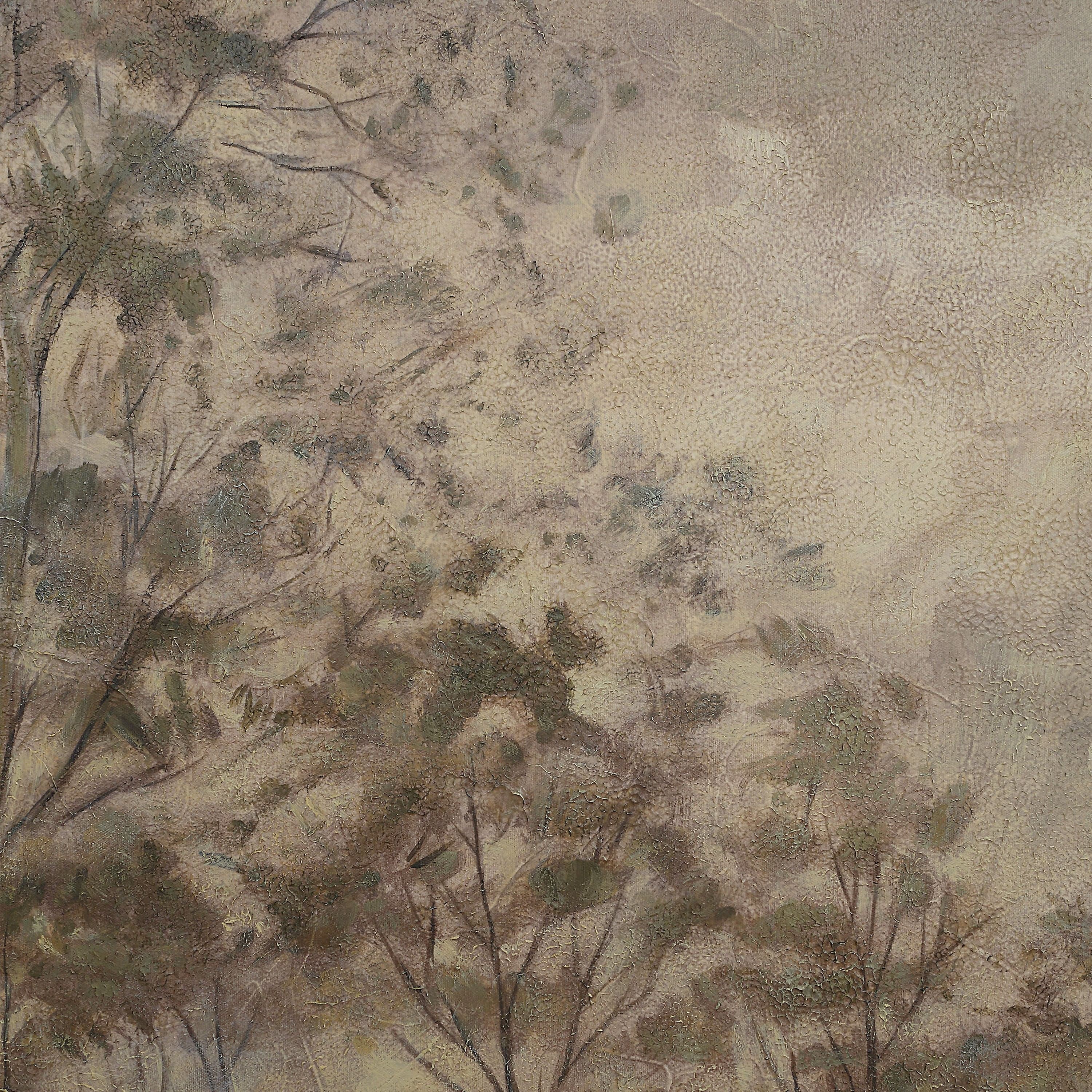 Toulouse — product photograph