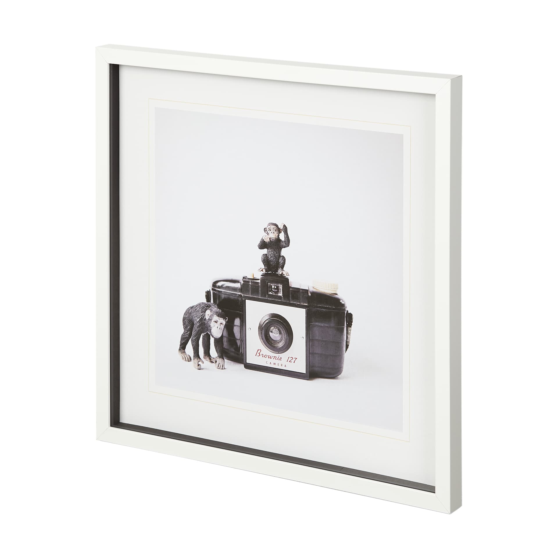Monkeys & Vintage Camera by Susannah Tucker Photography a Framed Photo Art Print Matted under Glass — product photograph
