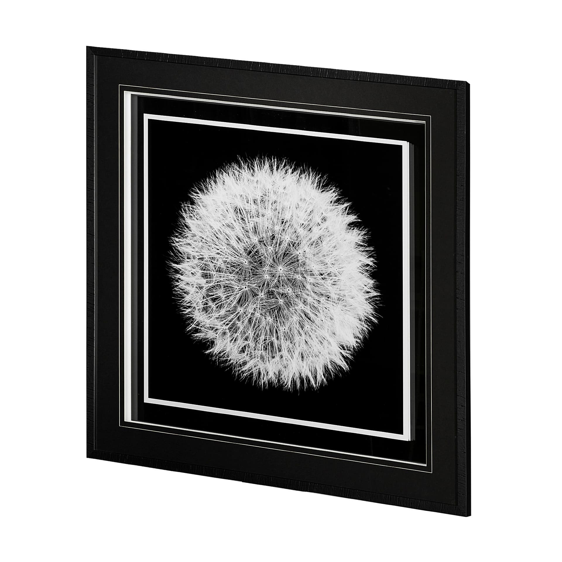 Dandelion on Black I by Aledanda a Framed Photo Art Print Matted under Glass — product photograph