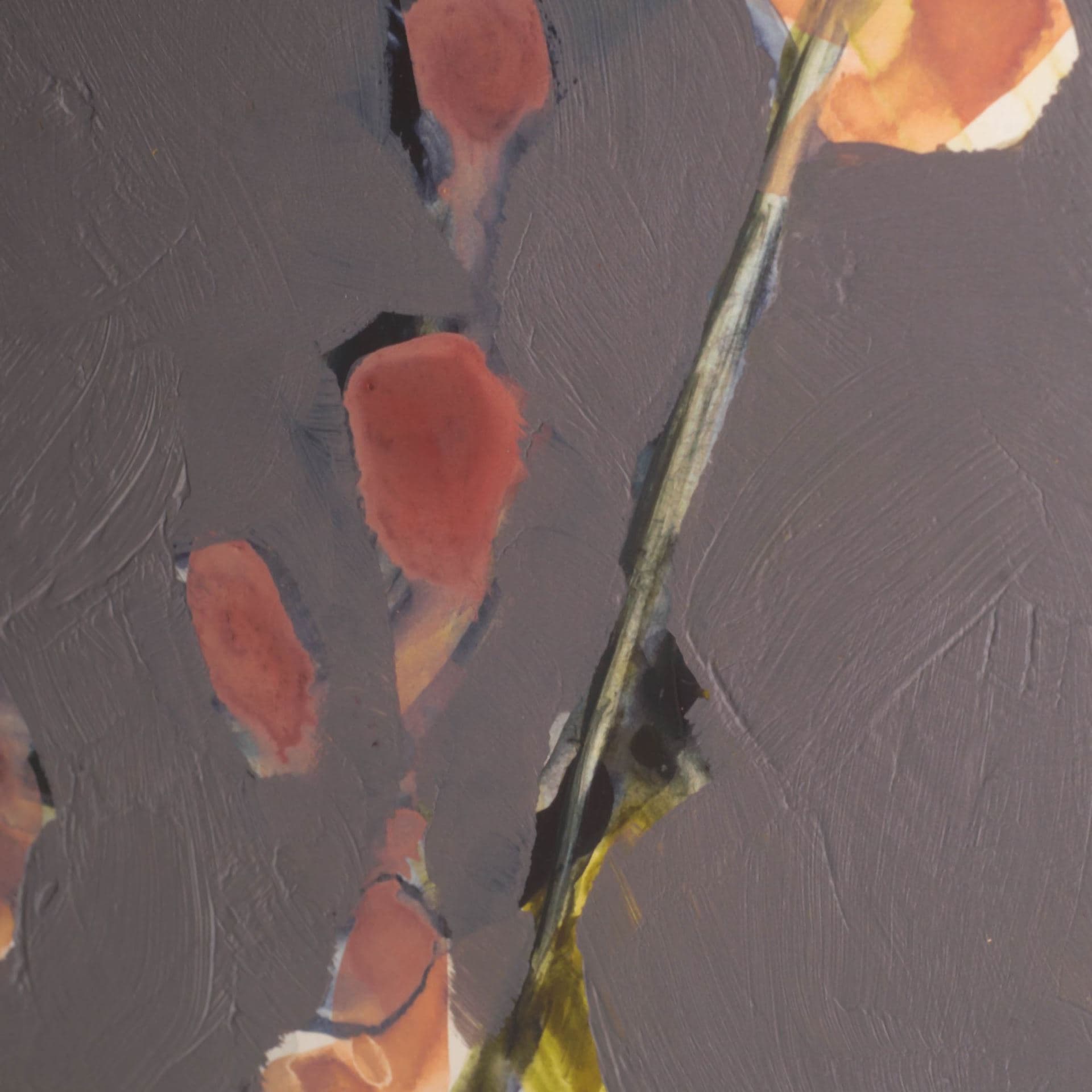 Anemone & Coral II by Jennifer Goldberger a Framed Art Print Matted under Glass — product photograph