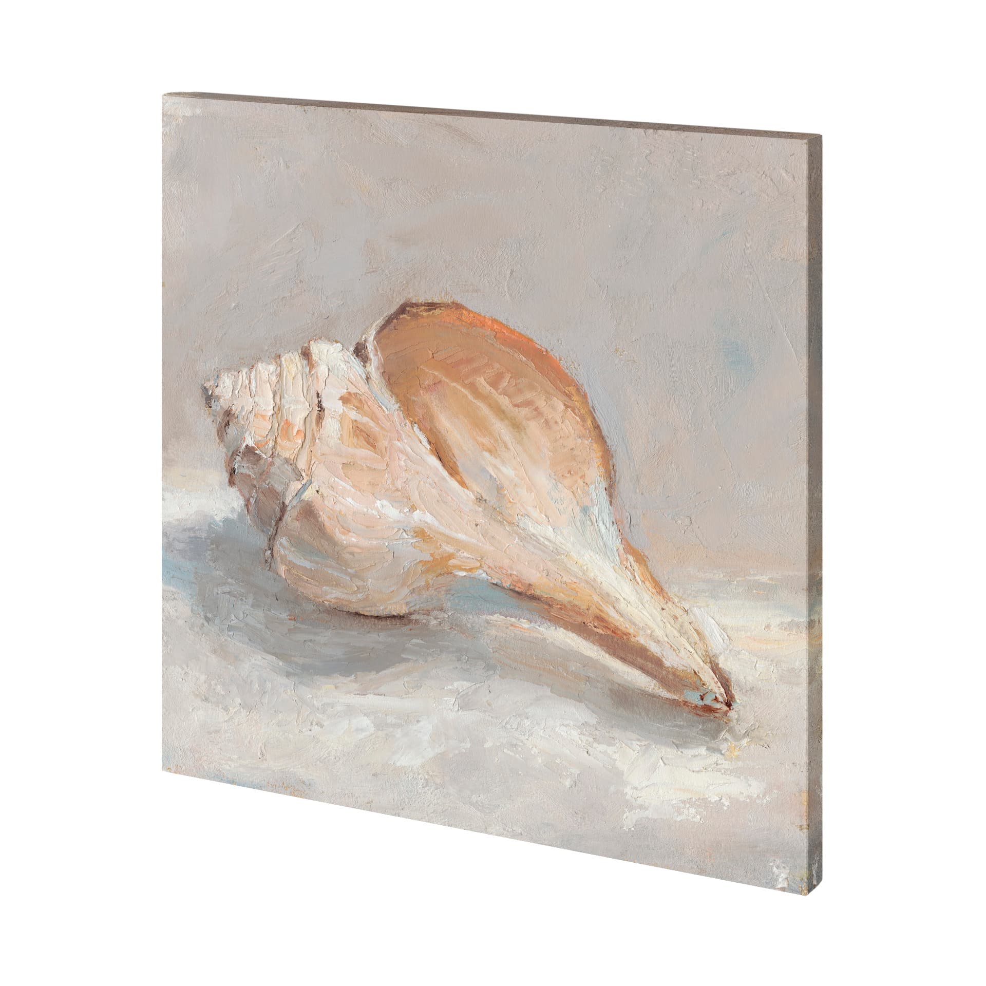 Impressionist Shell Study III by Mercana Studio a Hand Embellished Textured Canvas — product photograph