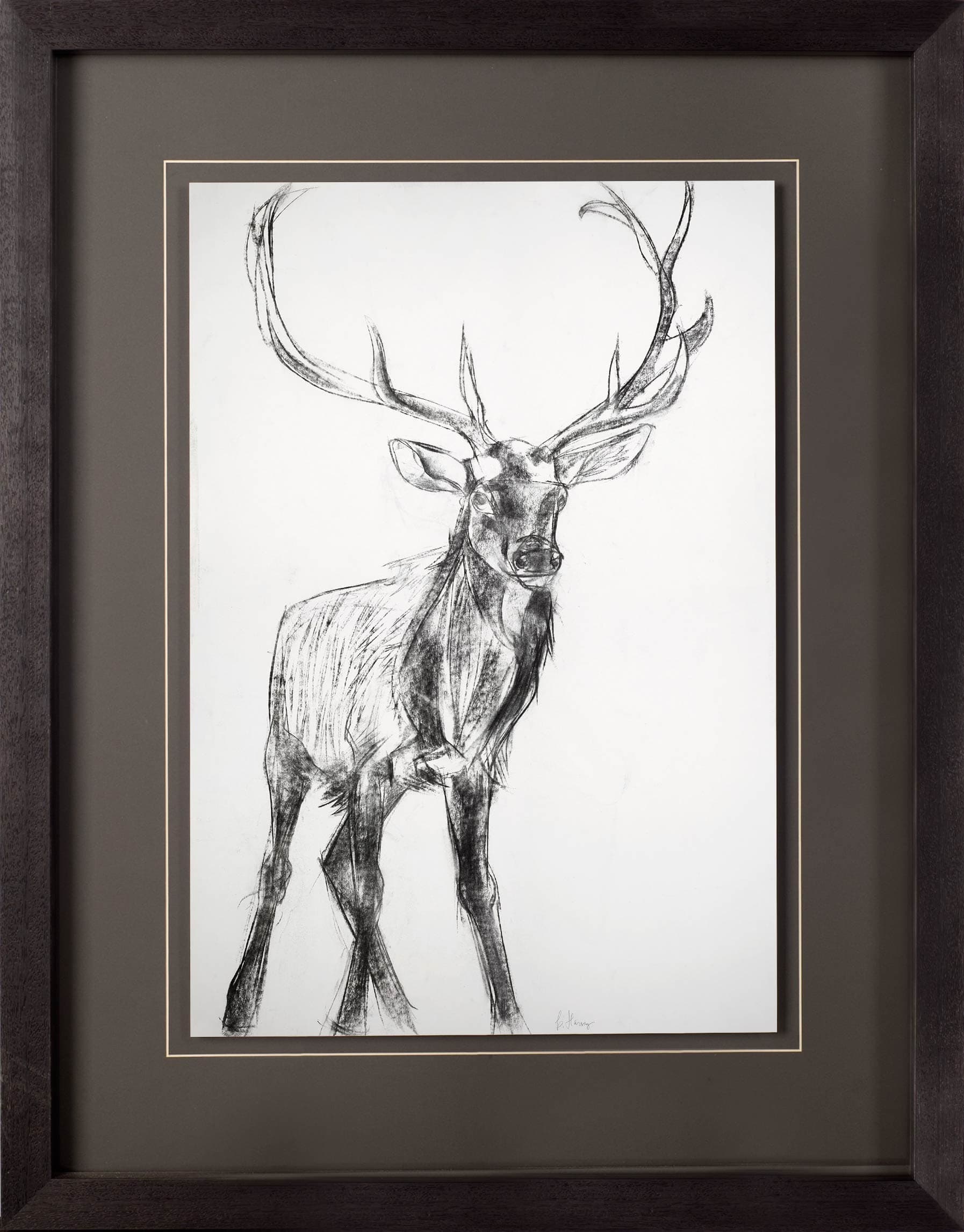 Young Elk by Harvey, Brenna a Framed Art Print Matted under Glass — product photograph