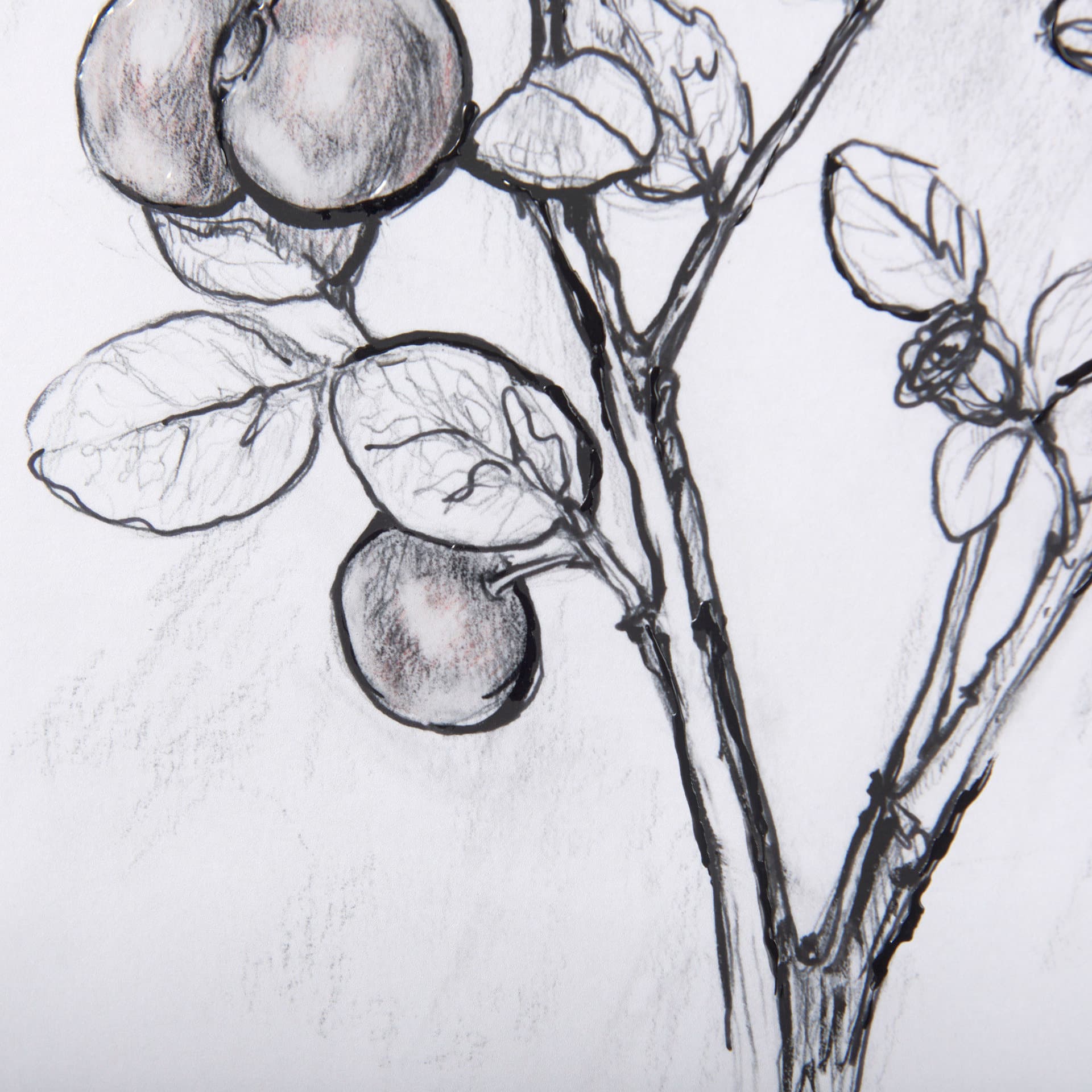 WildBerry Collection Hucklberry Mercana Studio Hand Embellished Framed Art Print Matted under Glass — product photograph