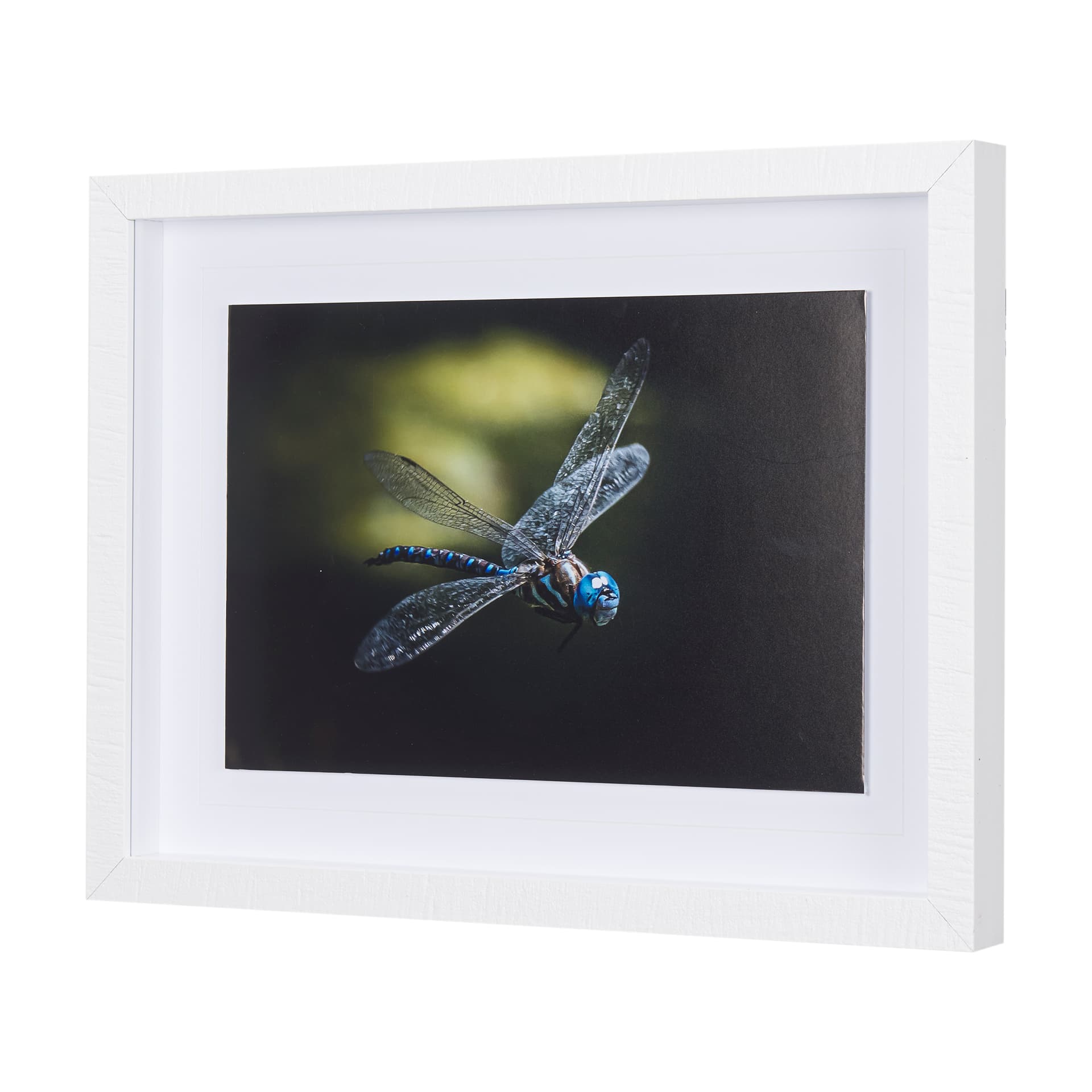 Dragon Fly by Mercana Studio a Framed Photo Art Print Matted under Glass — product photograph