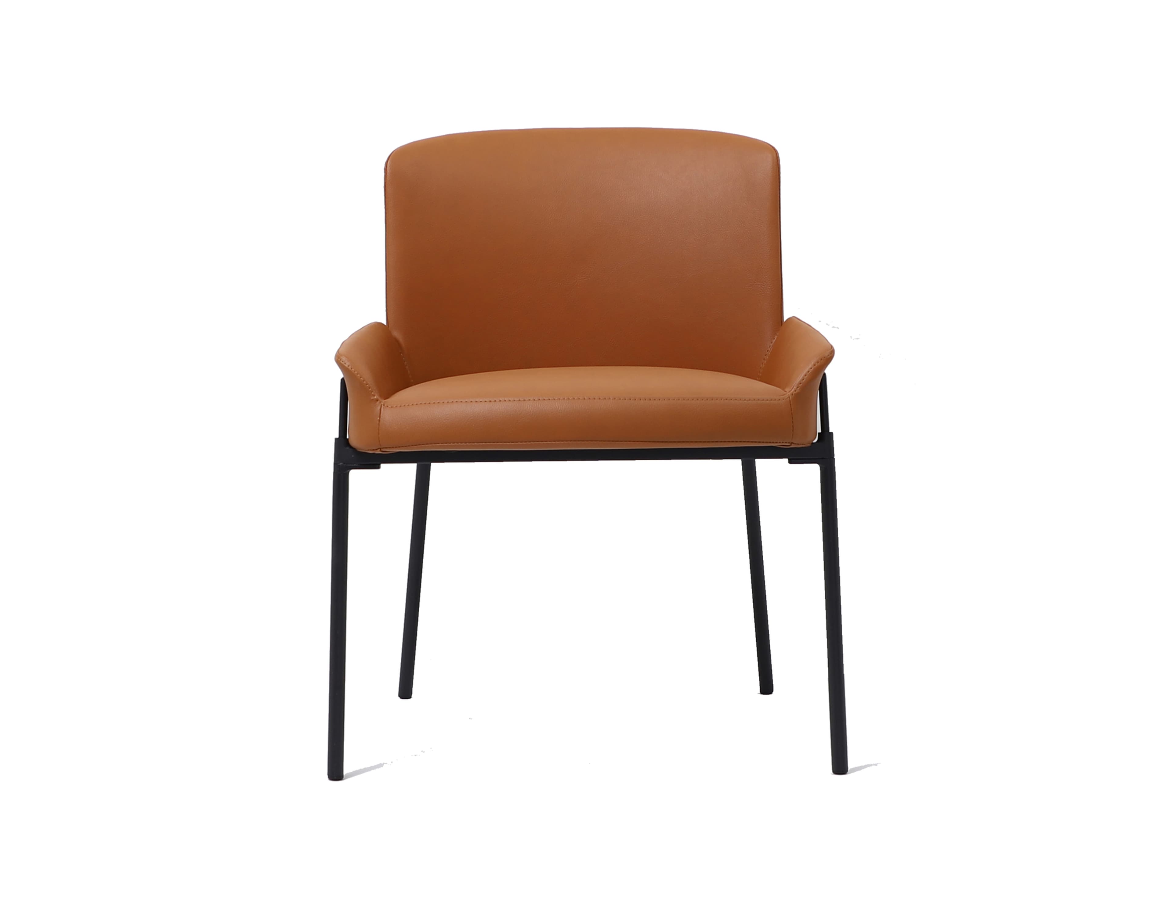 Dublin Chair — product photograph