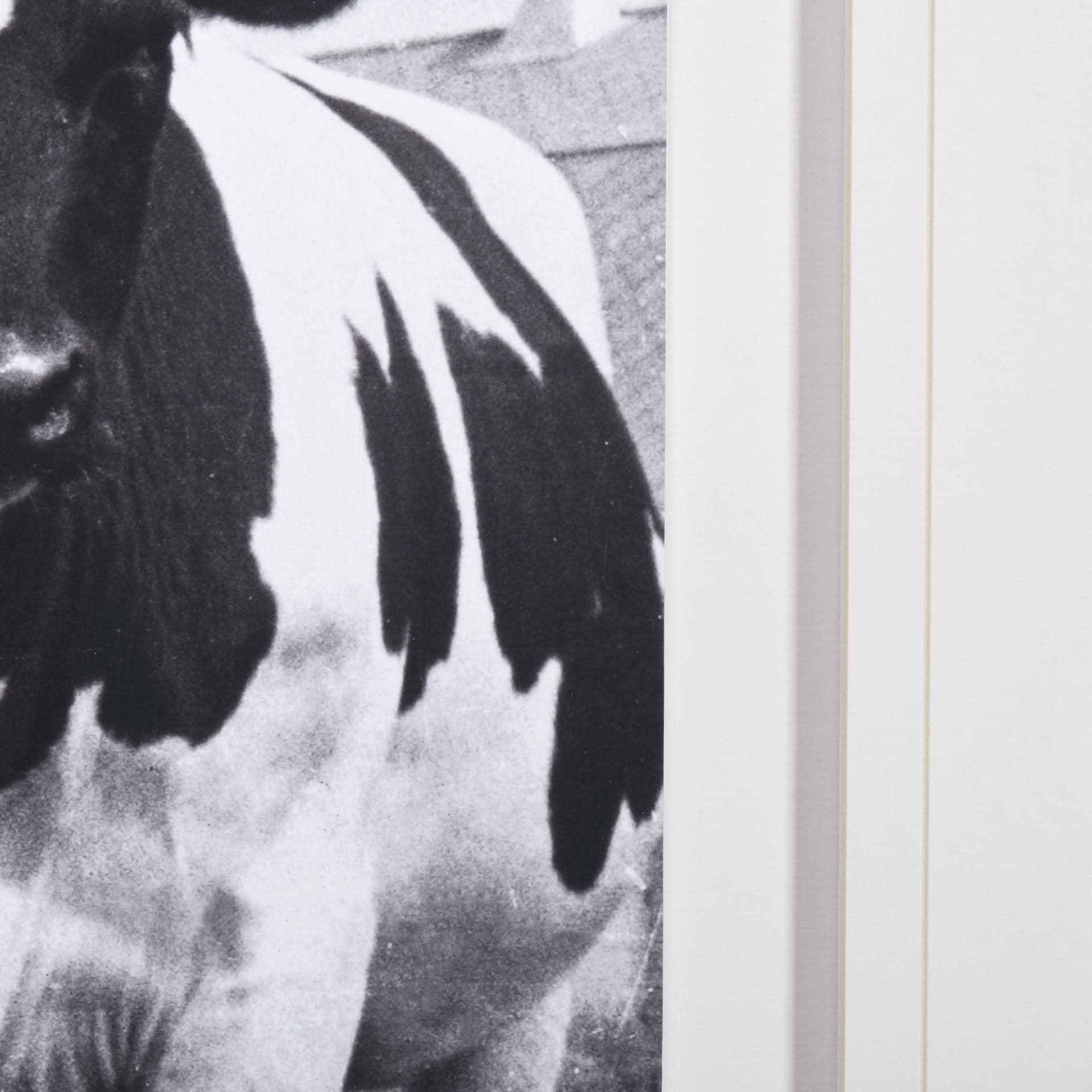 Curiosity by The Vintage Collection a Hand Embellished Textured Framed Art Photo Matted under Glass — product photograph