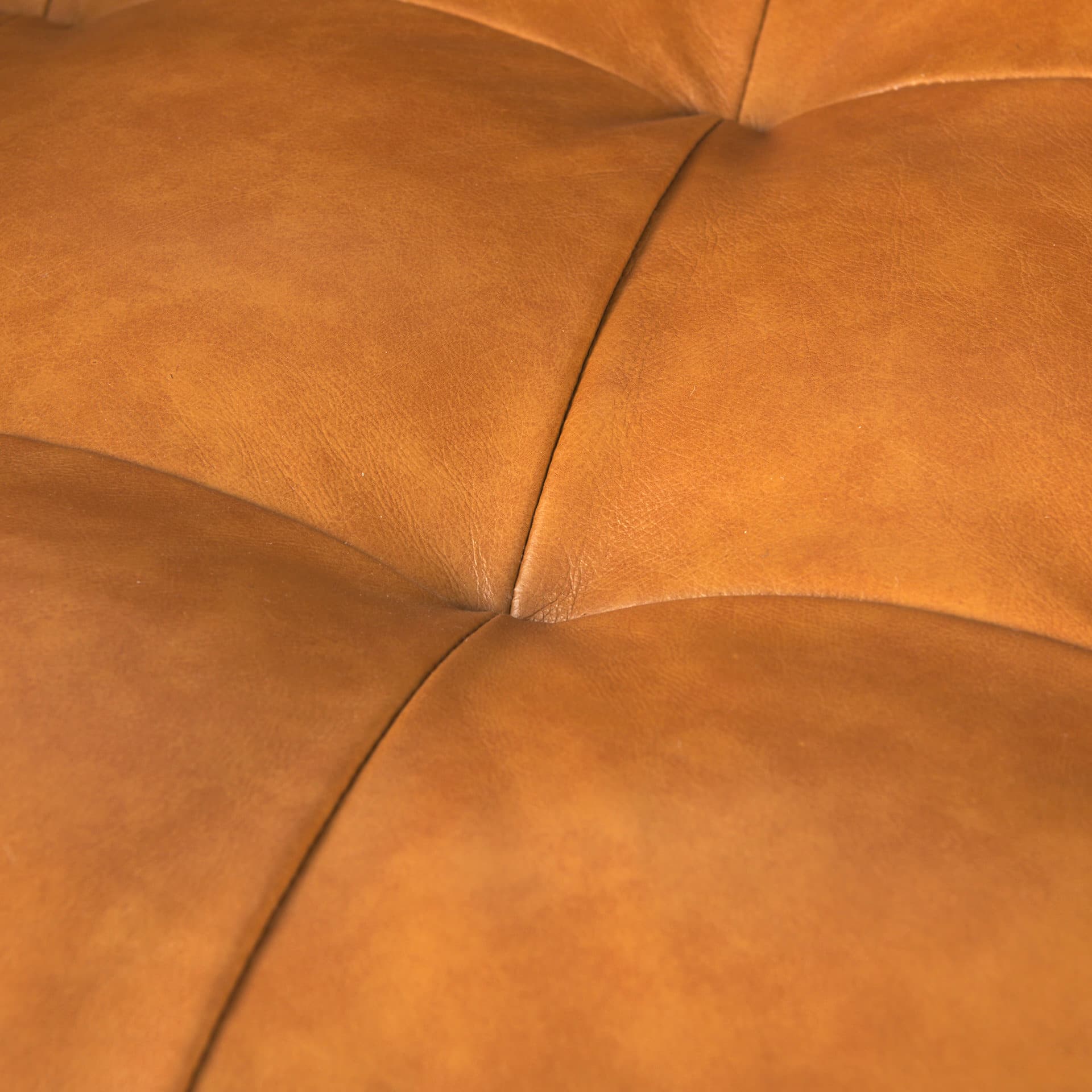 Svend 65.0L x 38.0W x 34.0H Tan Leather Love Seat Sofa — product photograph