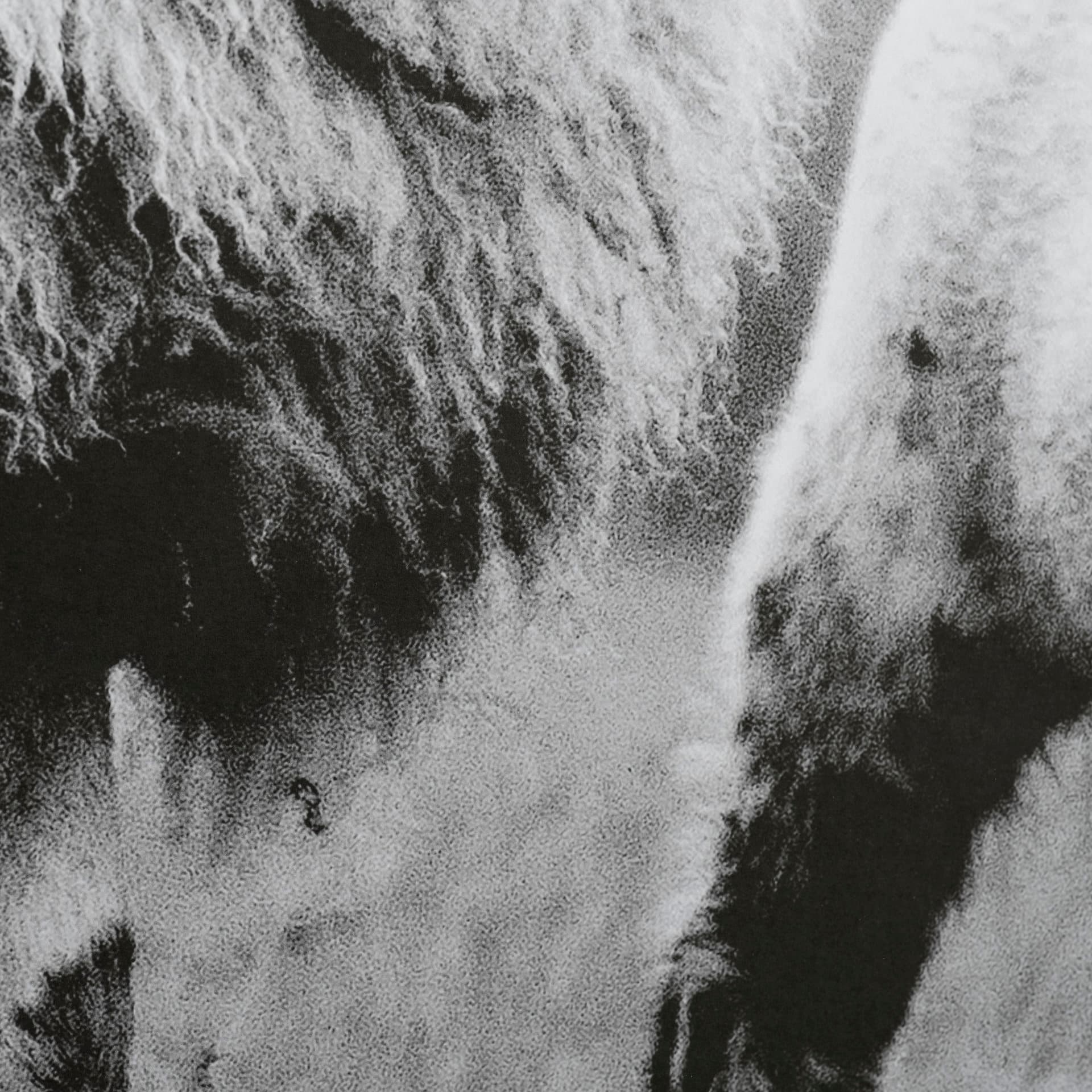 Islay Sheep I by Laura Marshall a Framed Photo Art Print Matted under Glass — product photograph