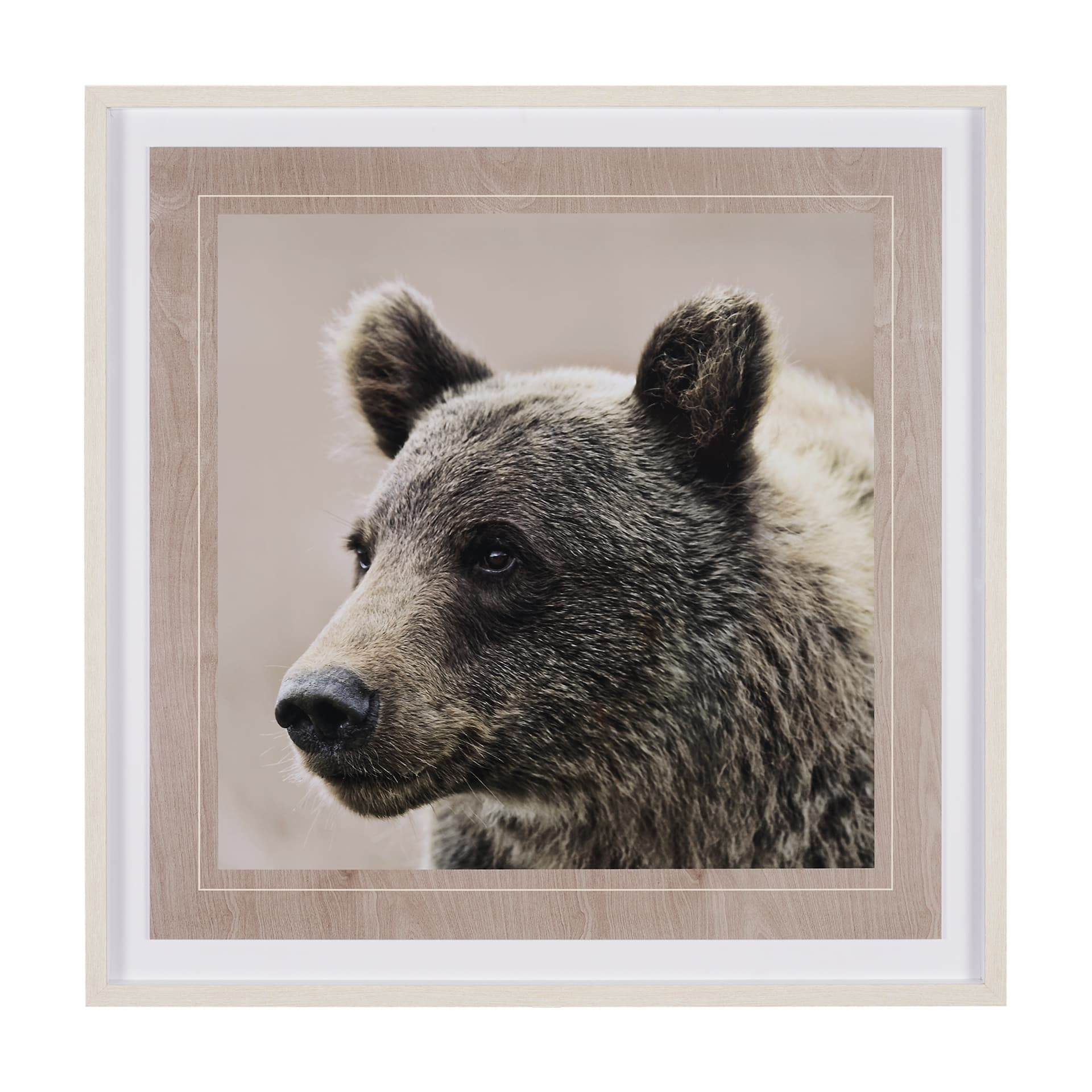 Bear Focus - Hush by Wink Gaines a Hand Embelished Textured Framed Art Photo Matted under Glass — product photograph