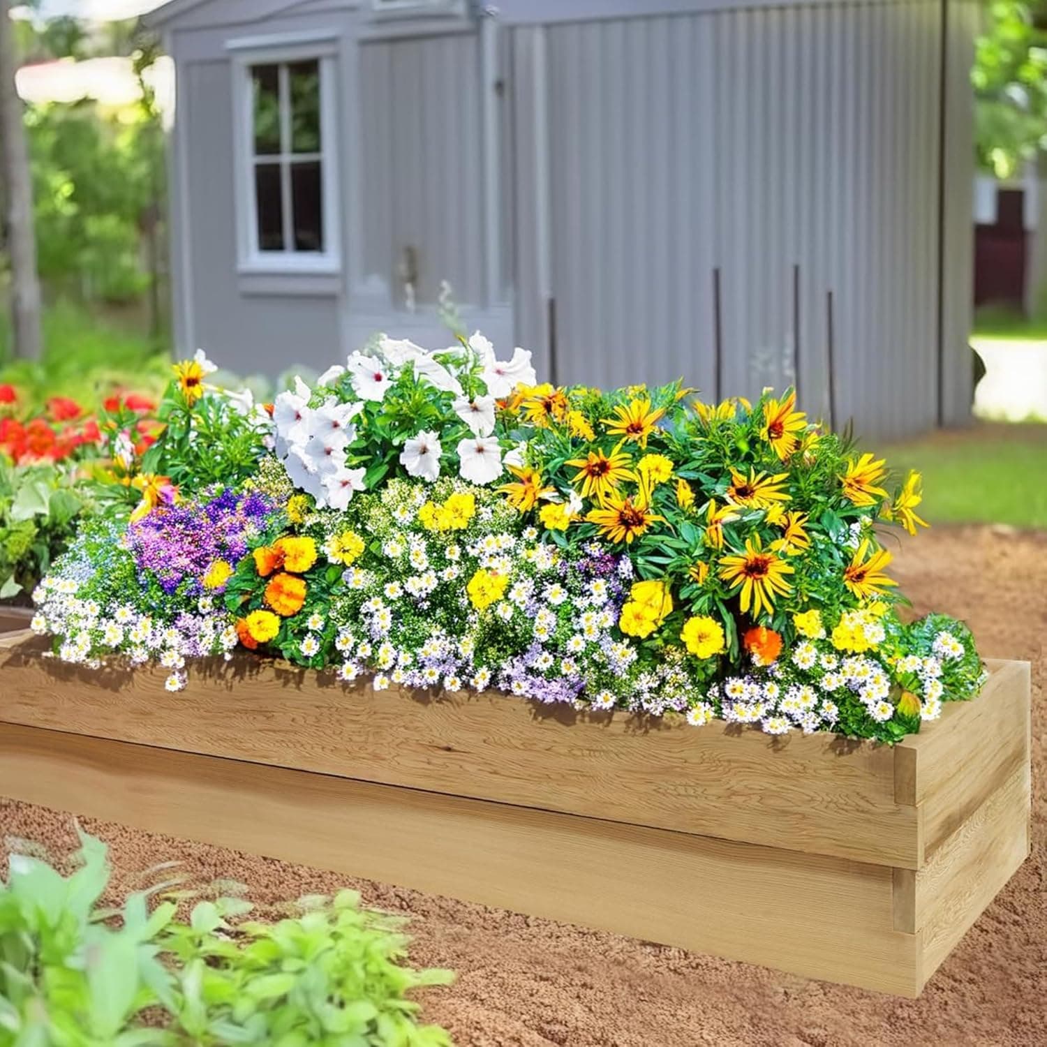 6x2 Ft Double Layer Raised Garden Box - RG72-2 — product photograph