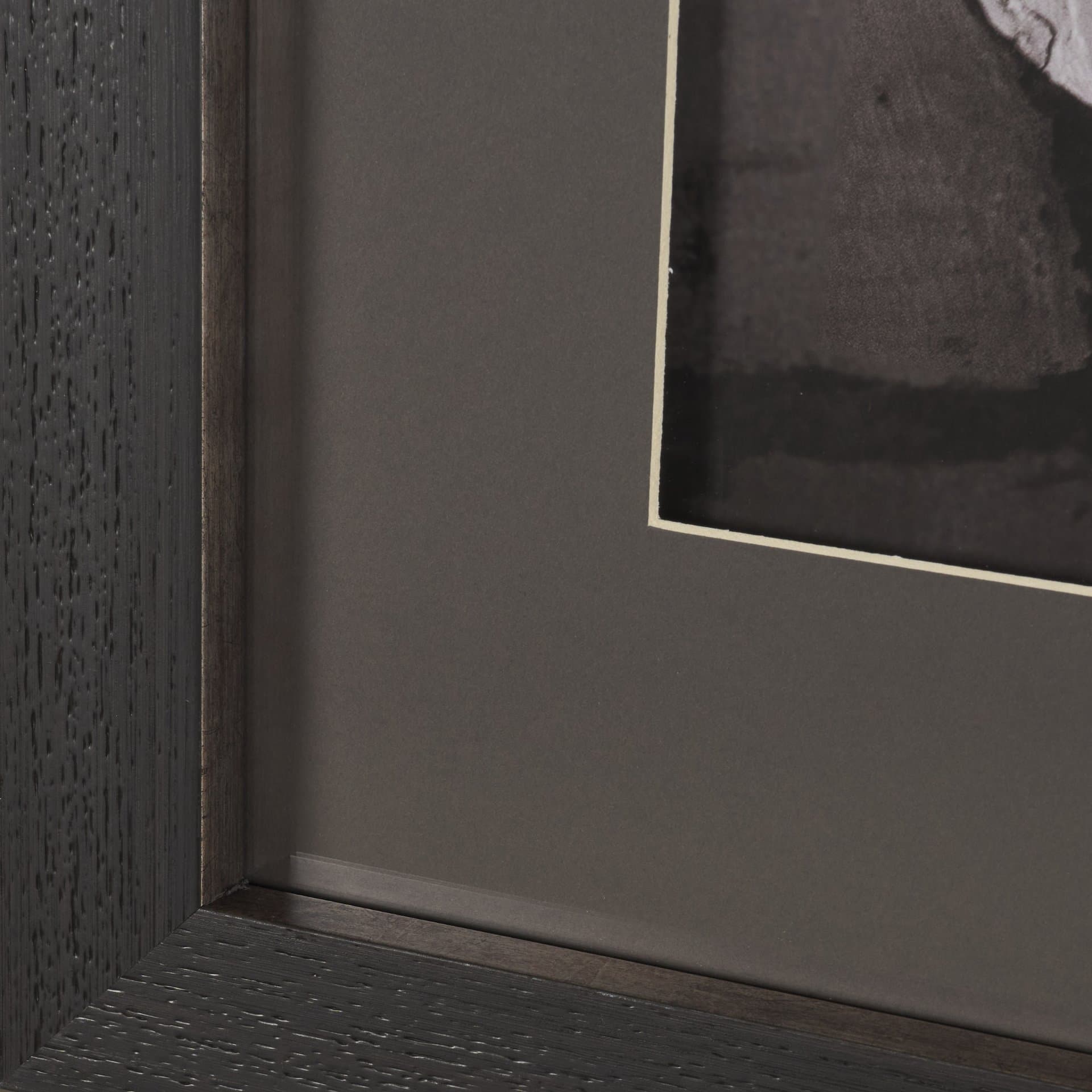 Moose Canoe by Deborah Revell Framed Art Print Matted under Glass — product photograph