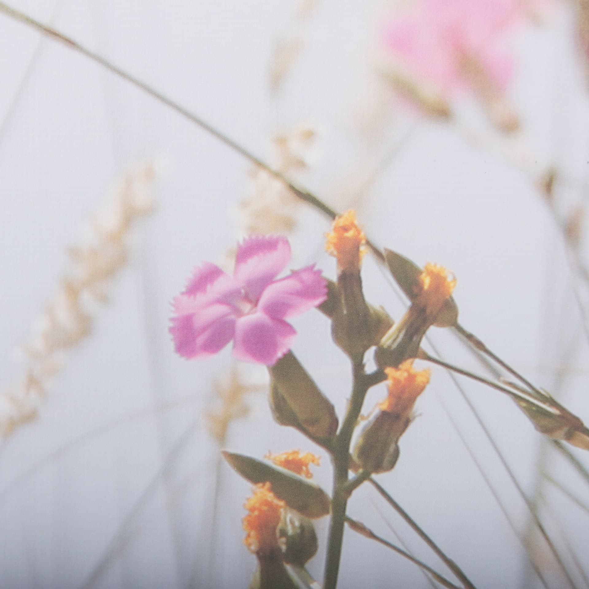 Wildflower Fade - L by Mercana Studio a Framed Photo Art Print Matted under Glass — product photograph