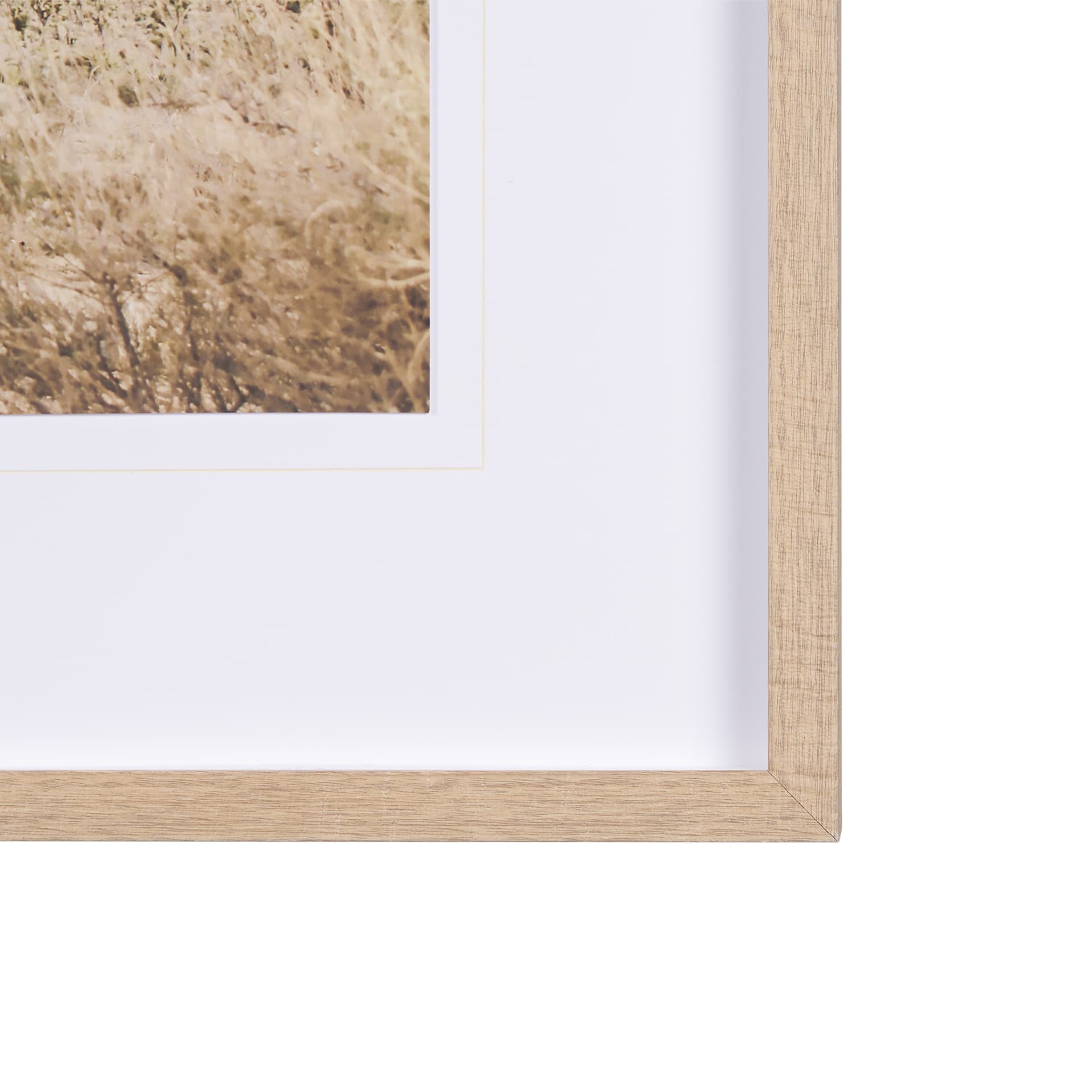 Joshua Tree 1 by THE Studio a Framed Photo Art Print Matted under Glass — product photograph