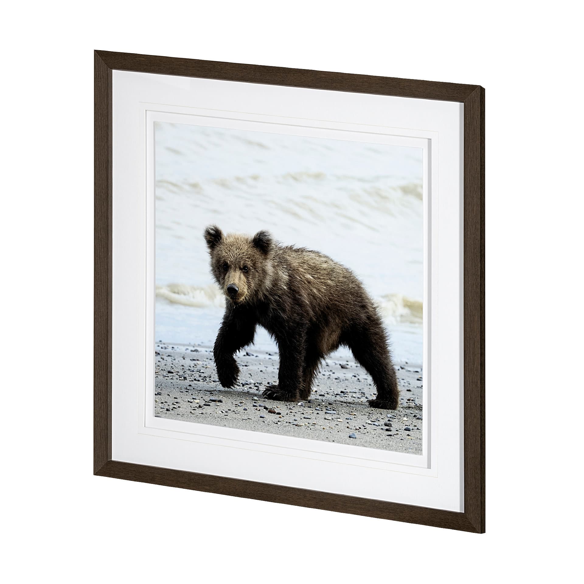 Curious Cub by Wink Gaines a Hand Embellished Textured Framed Art Photograph Matted under Glass — product photograph