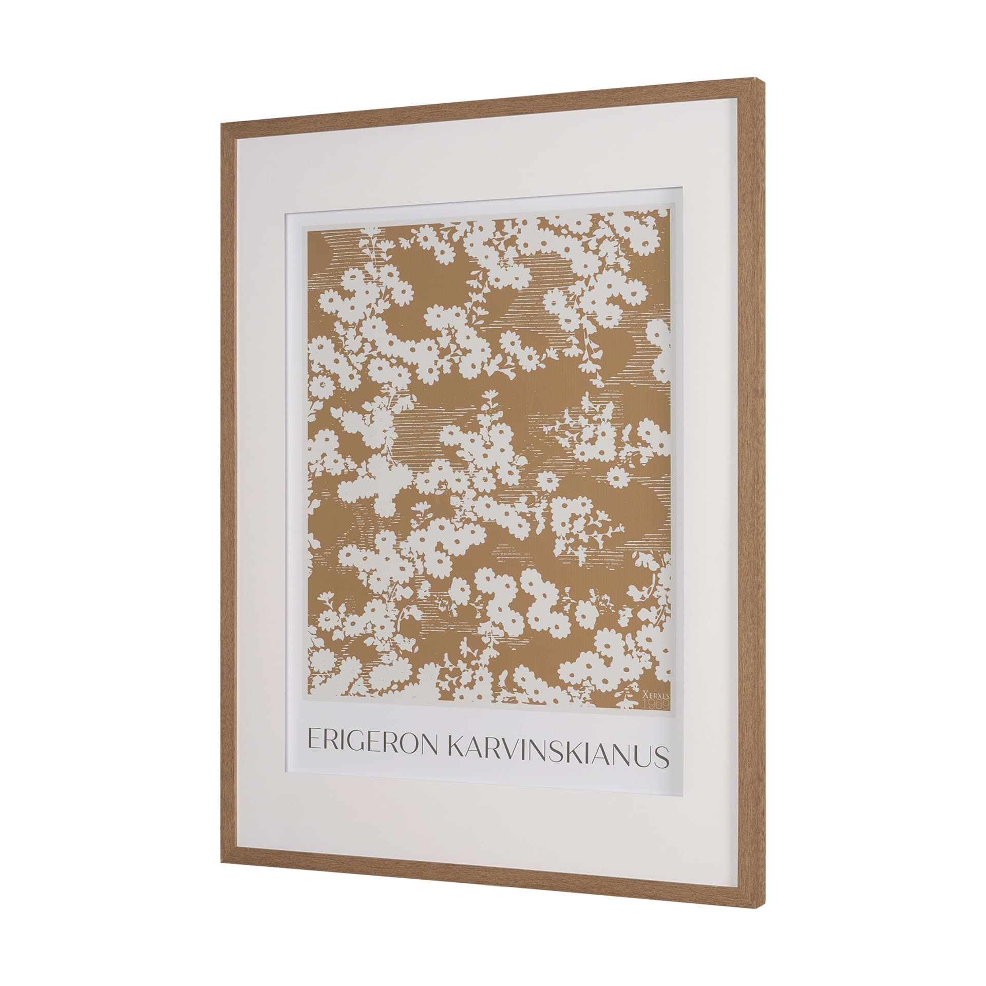Belleza En Flores II by Mercana Studio a Framed Art Print Matted under Glass — product photograph