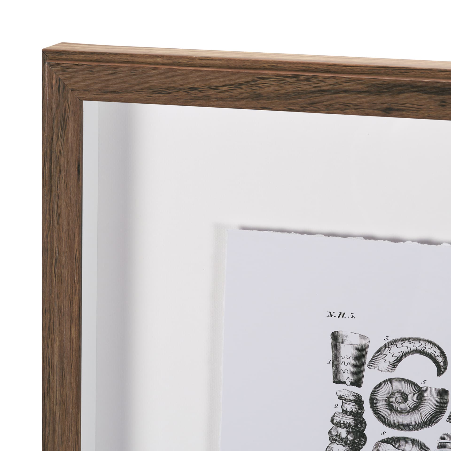 Sealife III by Oliver Goldsmith a Hand Embellished Framed Art Print Matted under Glass — product photograph