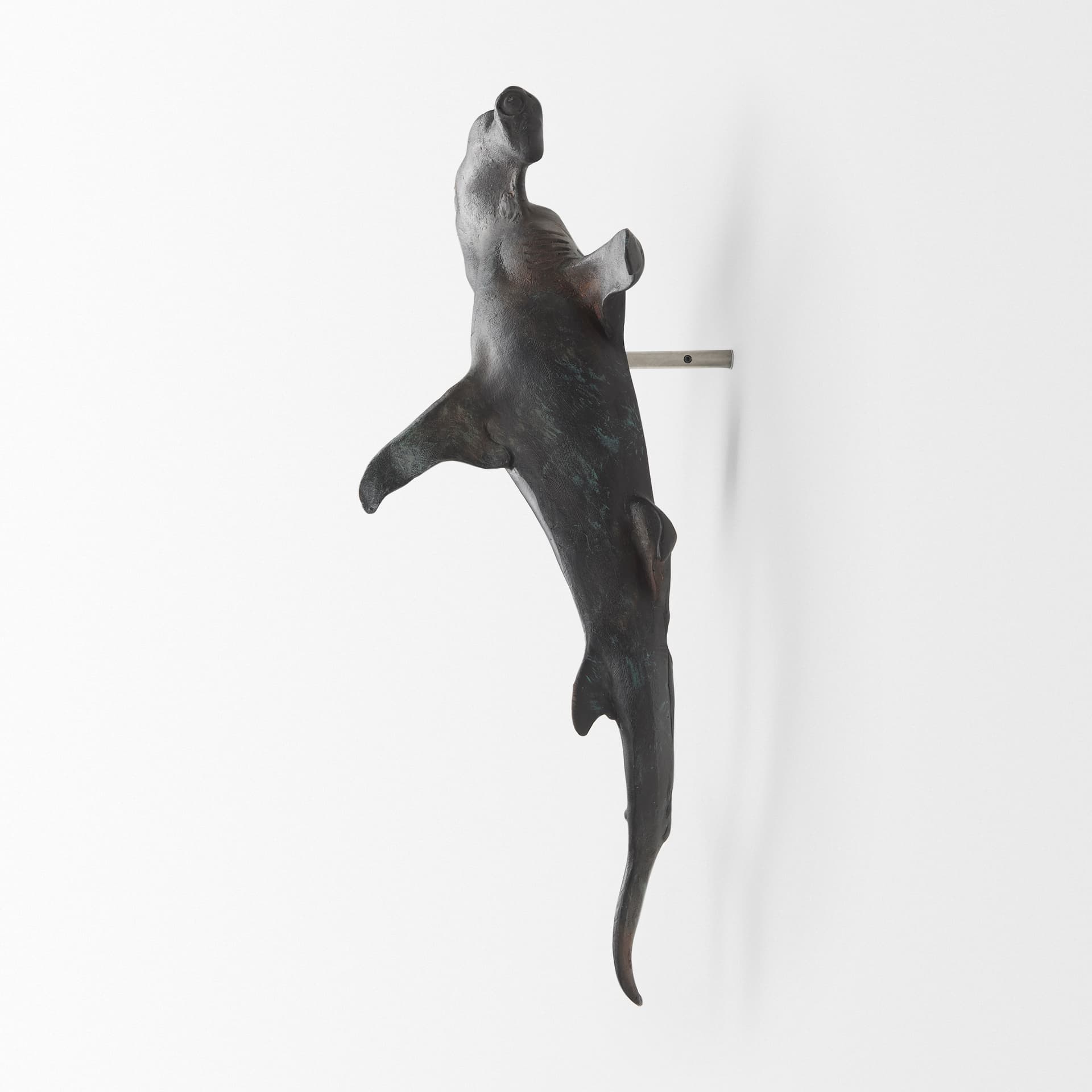 Acus 24H Large Hammer Head Shark Wall Decor — product photograph