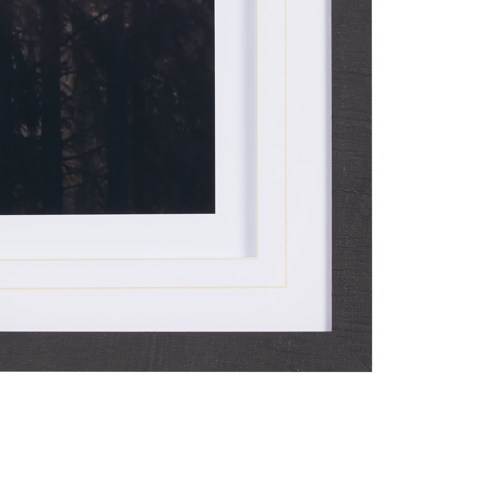 Woodland Glow by Andreas Stridsberg a Hand Embelished Textured Framed Art Photo Matted under Glass — product photograph