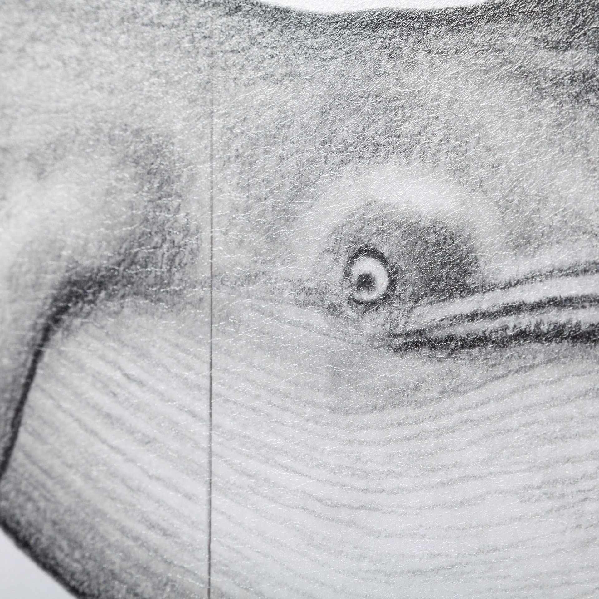 Blue Whale by Mercana Studio a Hand Embellished Textured Framed Art Print — product photograph