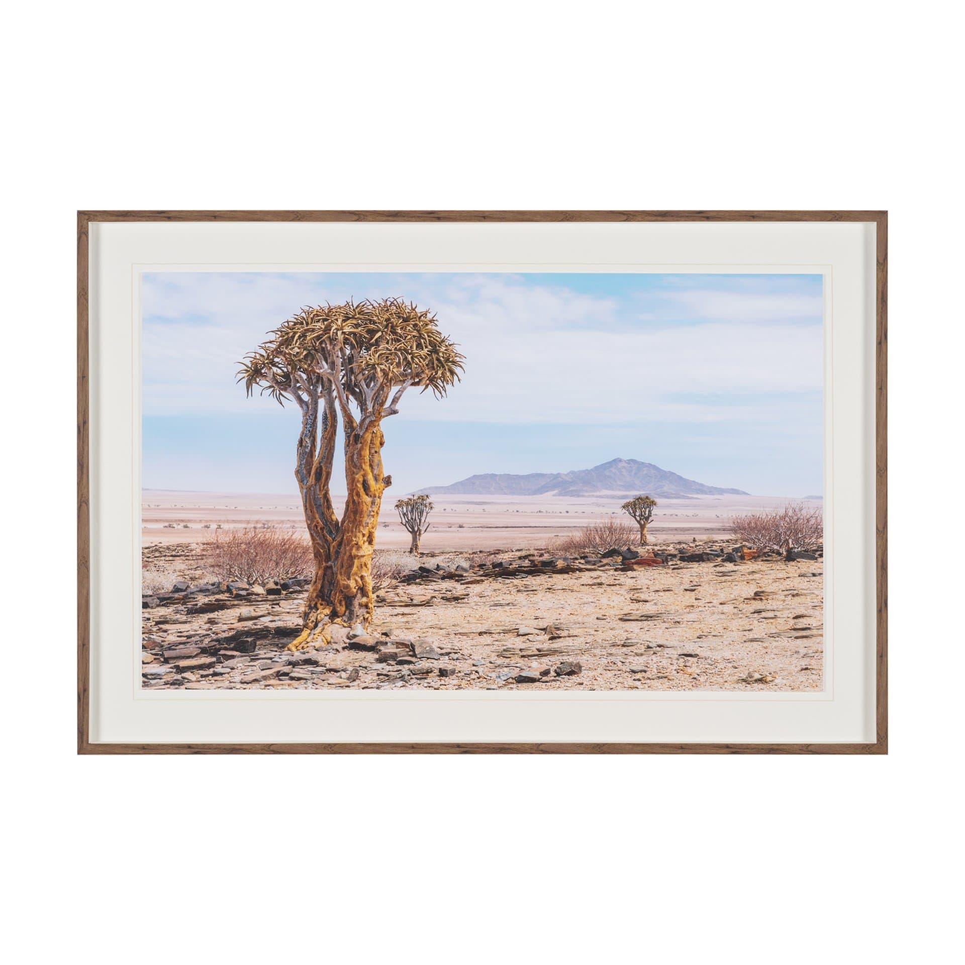 Namibia Tree in Desert by Richard Silver Textured Framed Photo Print Matted under Glass — product photograph