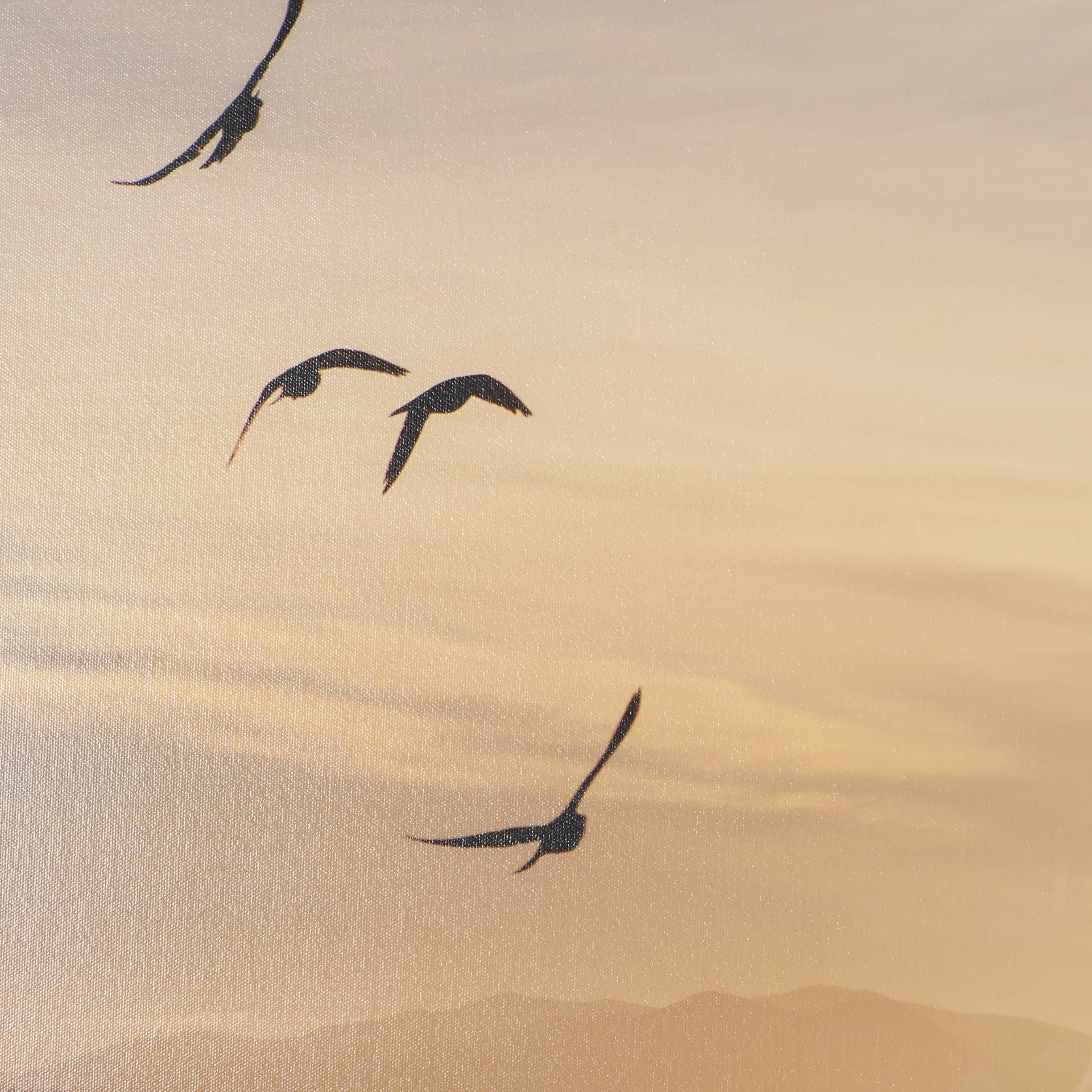 Tuscan View Sunset - Flight by Zaira Zarotti Framed Photo Print Matted under Glass — product photograph