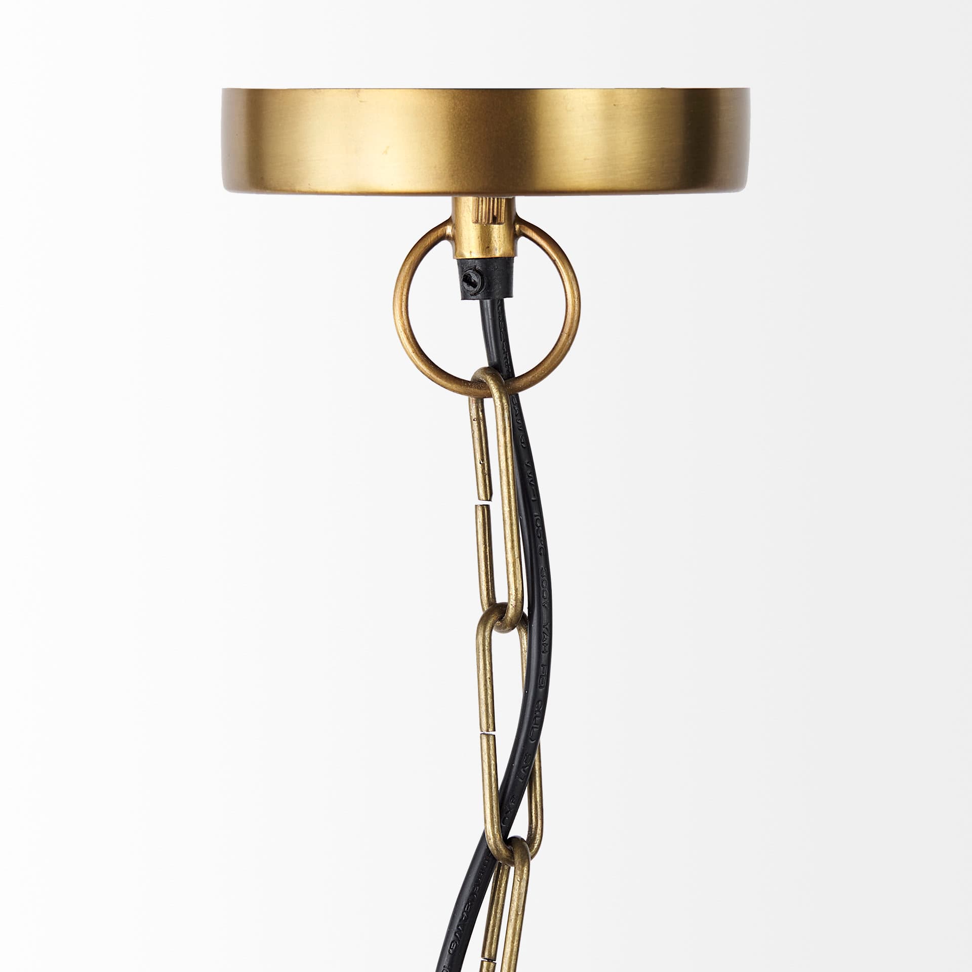 Fenton 18.0L x 18.0W x 23.0H Black W/Antiqued Gold Accents Pendant Light — product photograph