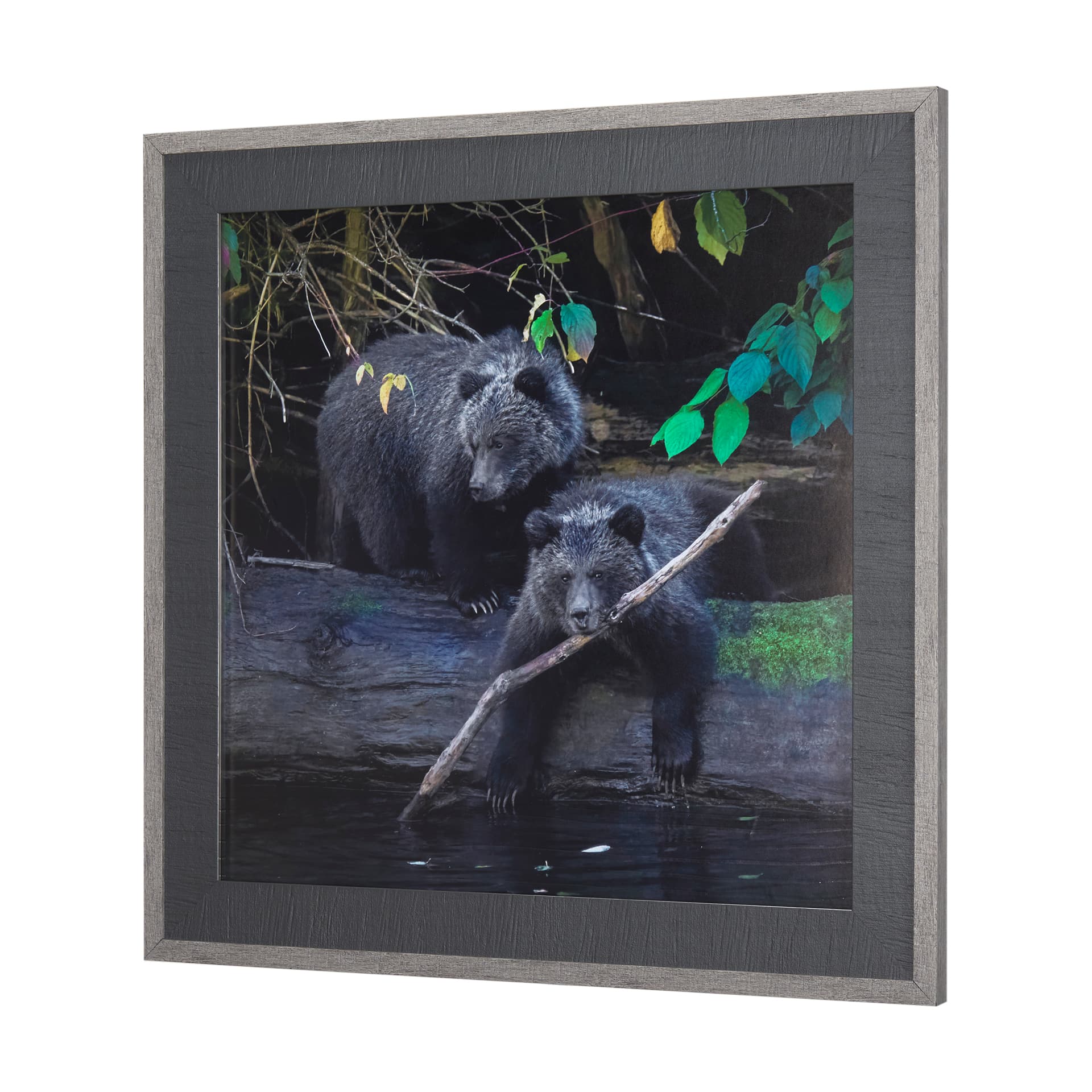 Playing Bears by Chad Mackay a Hand Embellished Textured Framed Photo Art Print Matted under Glass — product photograph