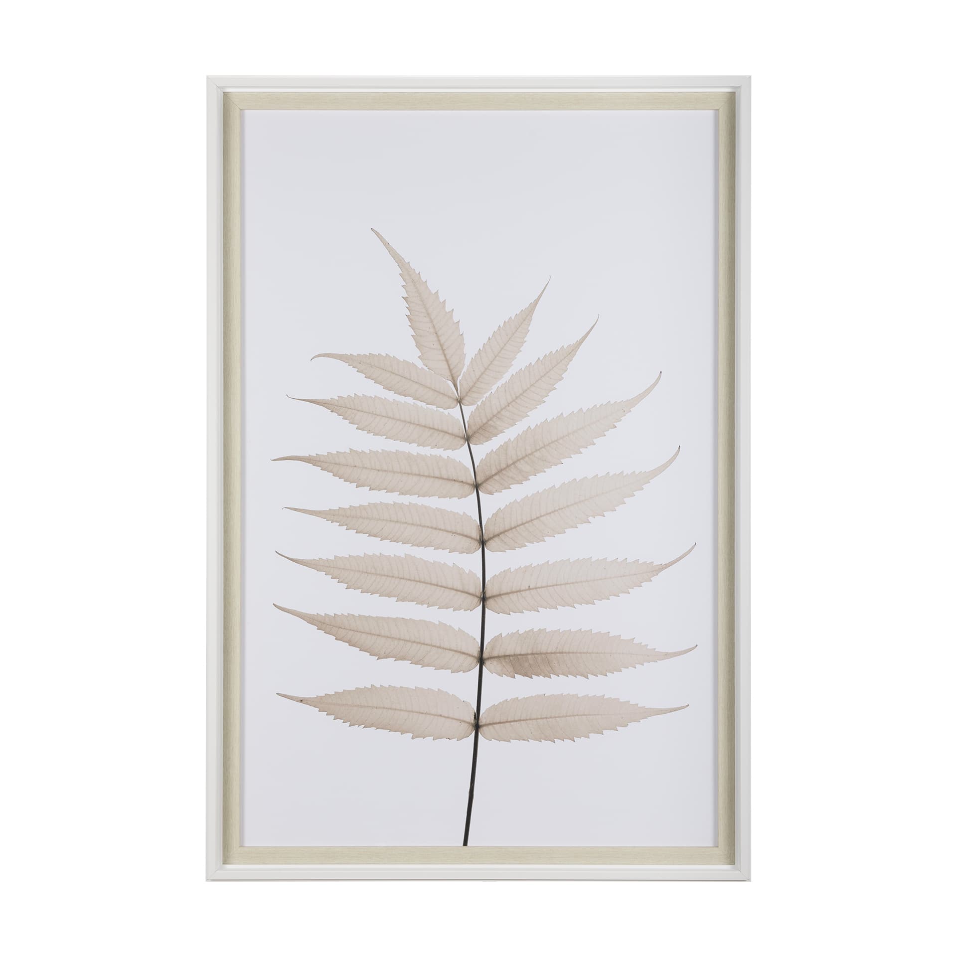 Limber Leaves by Assaf Frank a Framed Art Print Matted under Glass — product photograph