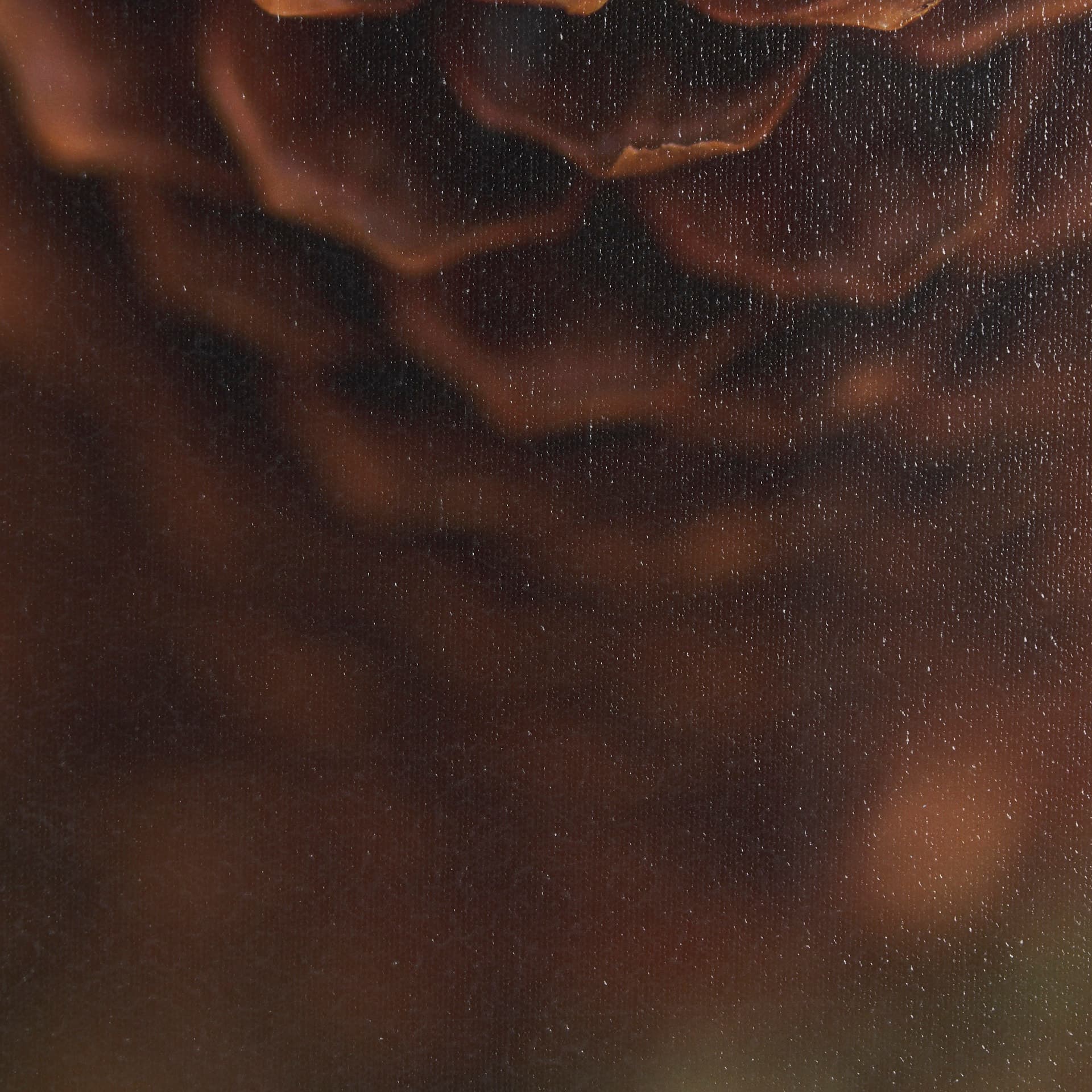 Down to Earth by Stig Kalvelid a Hand Embellished Framed Photo Art Print Matted under Glass — product photograph