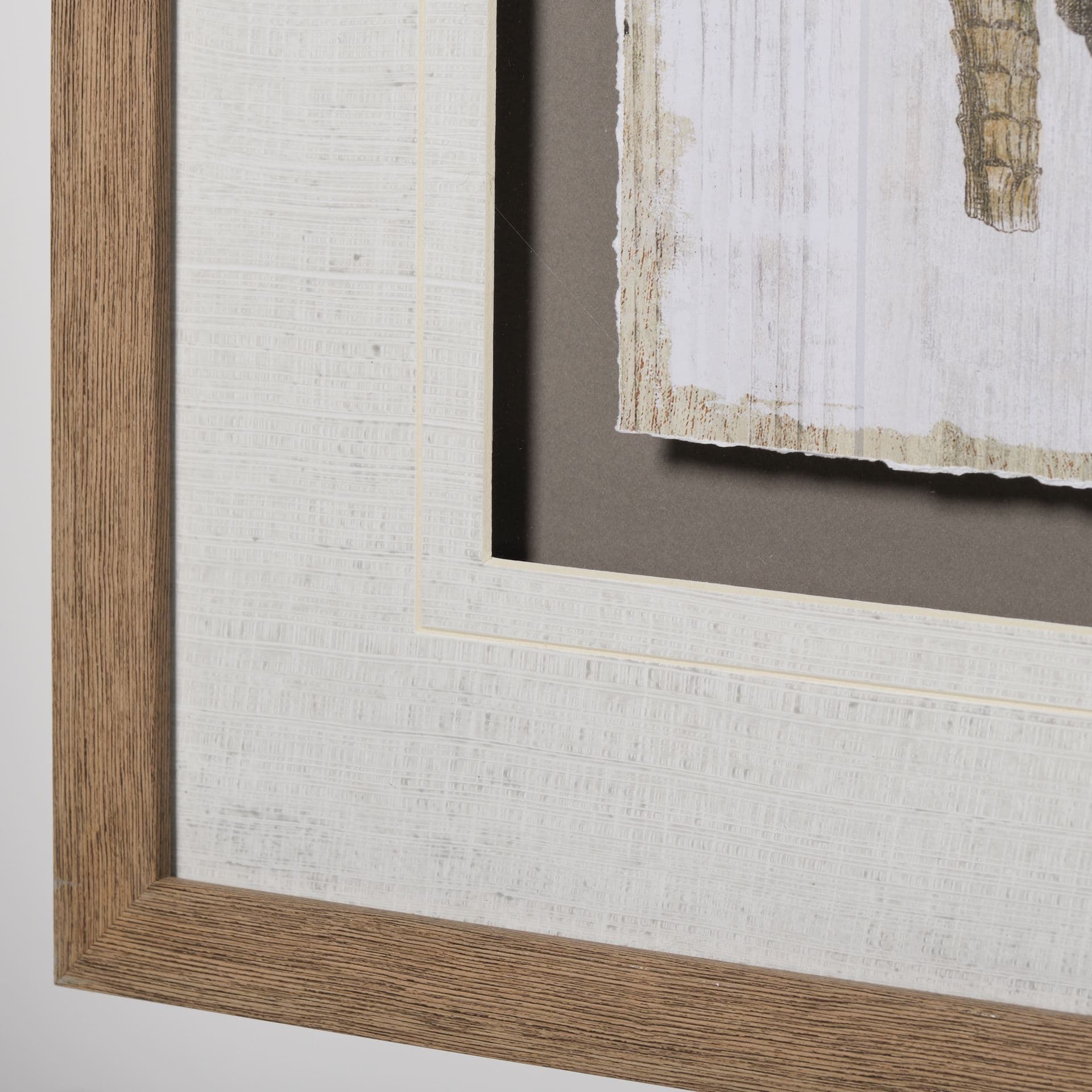 Woodland Chart III by Sue Schlabach a Hand Embellished Textured Framed Art Print Matted under Glass — product photograph