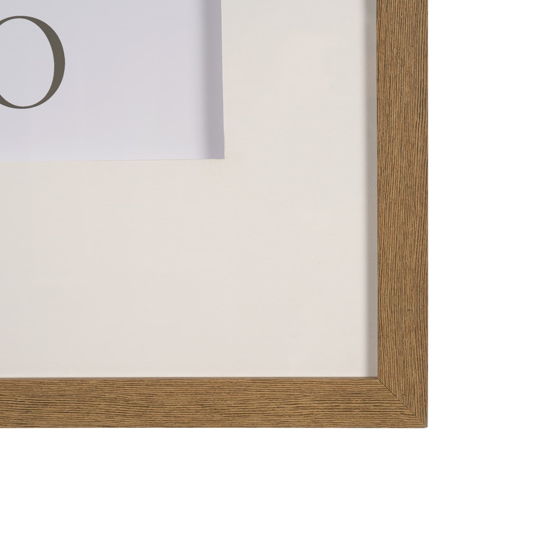 Belleza En Flores II by Mercana Studio a Framed Art Print Matted under Glass — product photograph