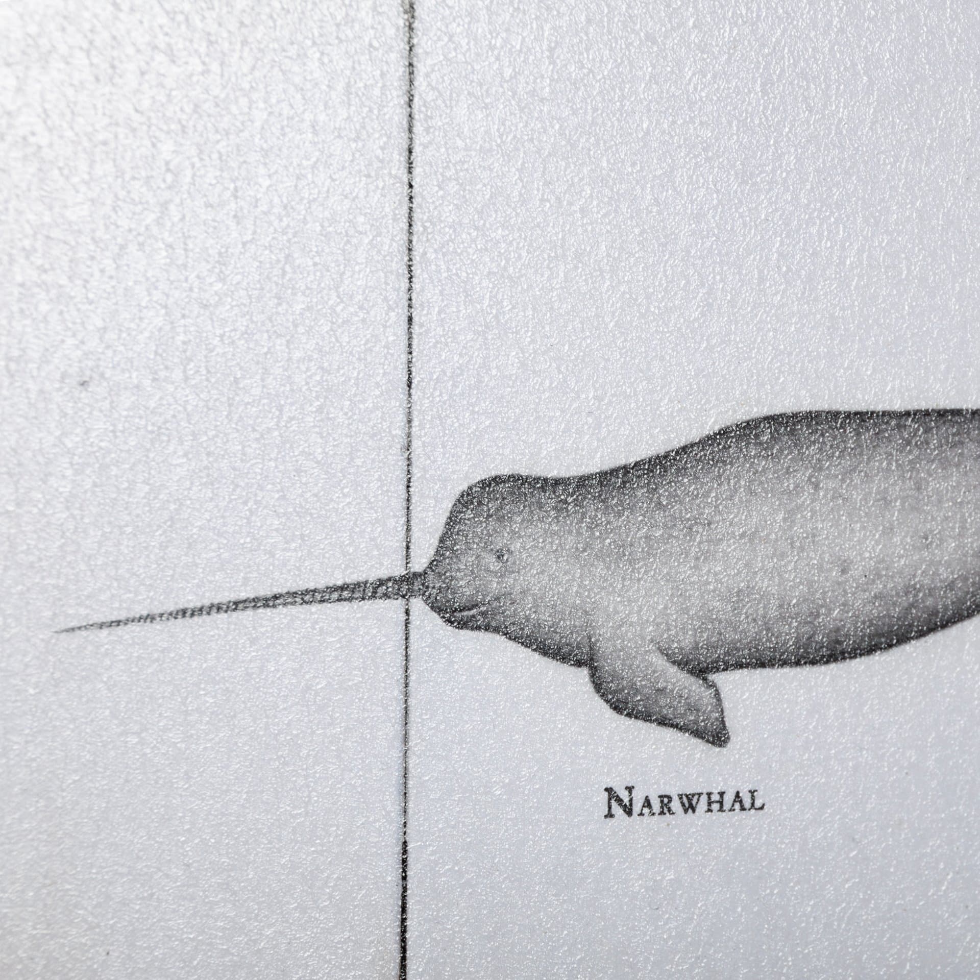 Narwhal by Mercana Studio a Hand Embellished Textured Framed Art Print — product photograph
