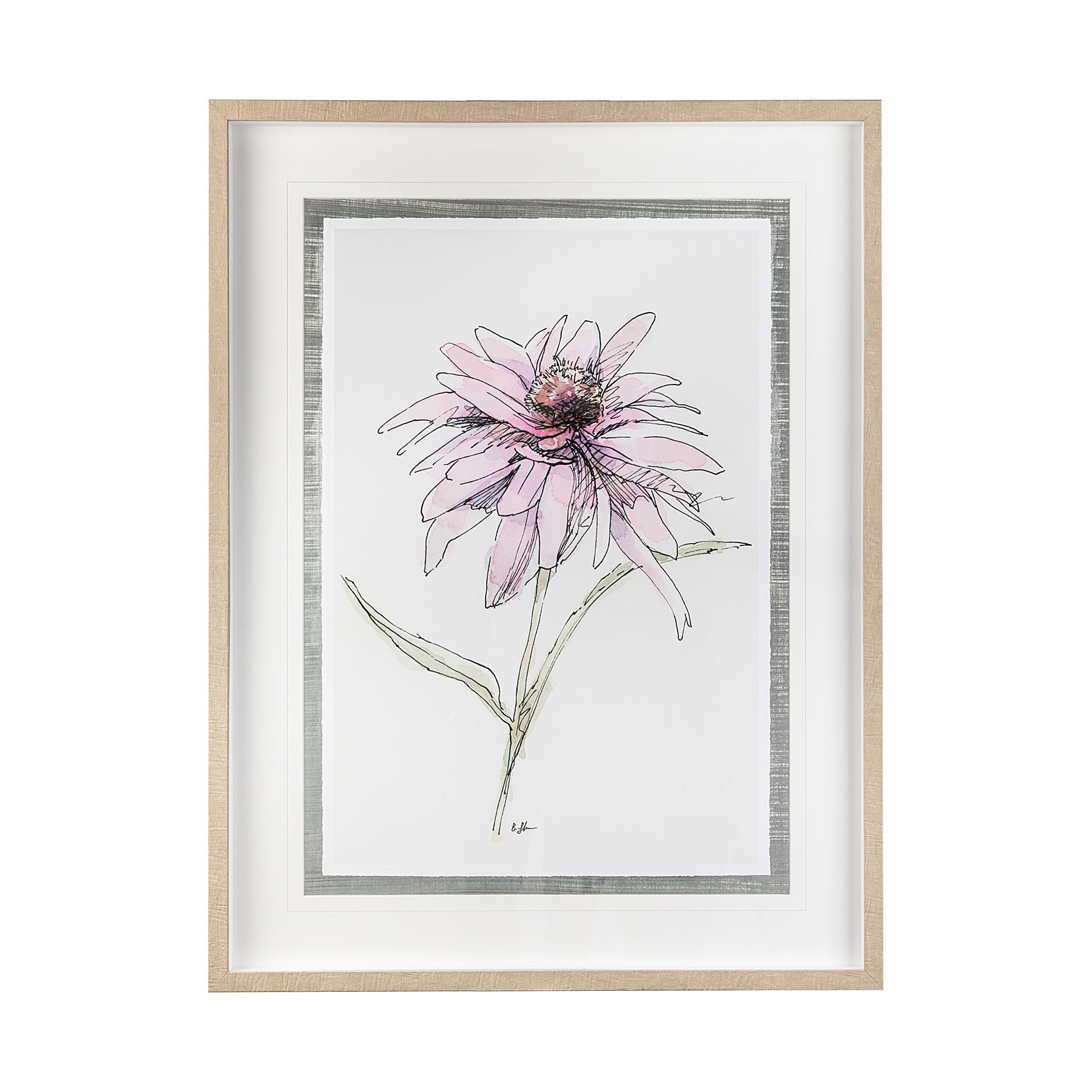 Echinacea I by Panpan Zhang a Framed Art Print Matted under Glass — product photograph