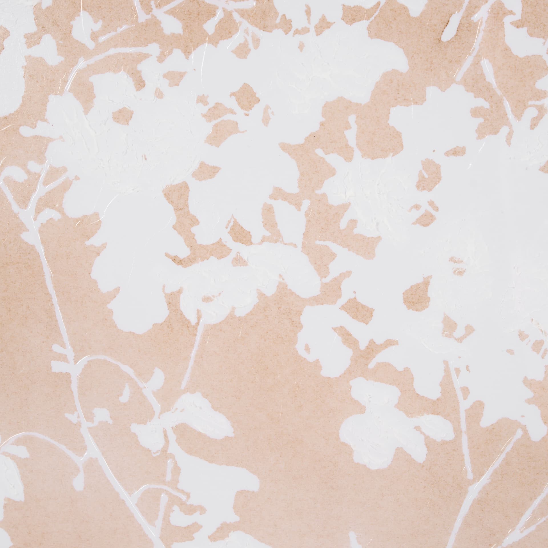 Flower Silhouette-Jasmine by Mercana Studio Hand Embelished Framed Art Print Matted under Glass — product photograph