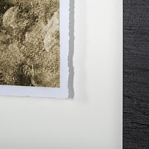 Rhino Green by Mercana Studio a Hand Embellished Textured Framed Art Print Matted under Glass — product photograph