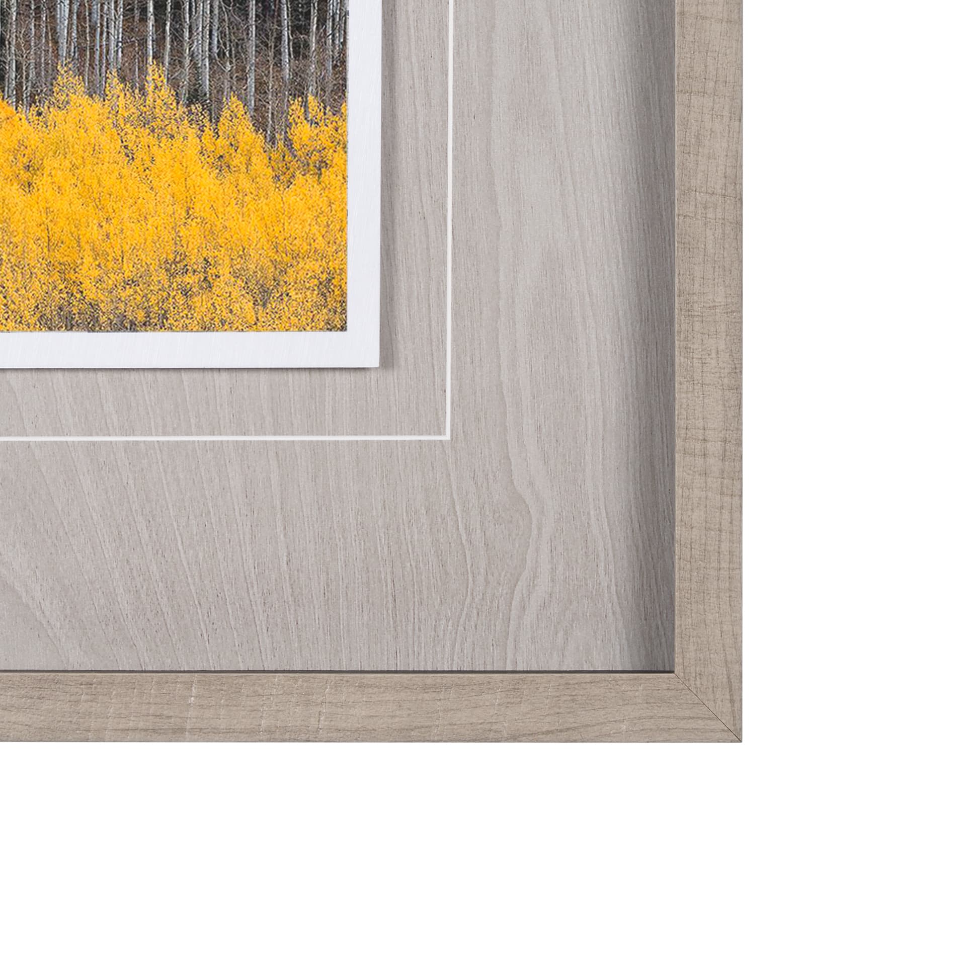 Aspen Trees 4 by Jamie Cook a Hand Embelished Textured Framed Photo Art Print Matted under Glass — product photograph