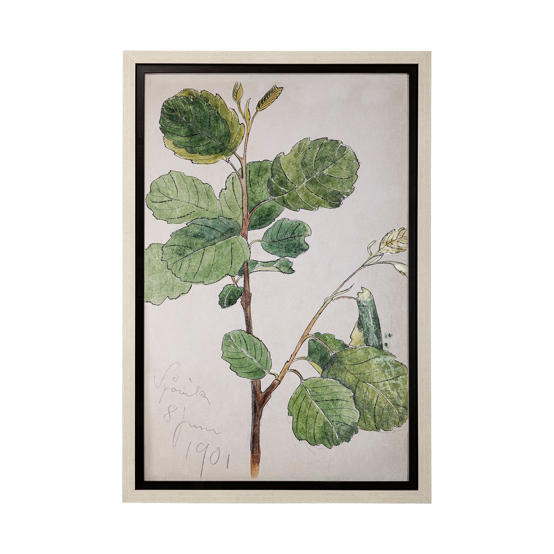 Bald Akvarellmalning by John Bauer a Hand Embellished Textured Framed Art Print Matted under Glass — product photograph