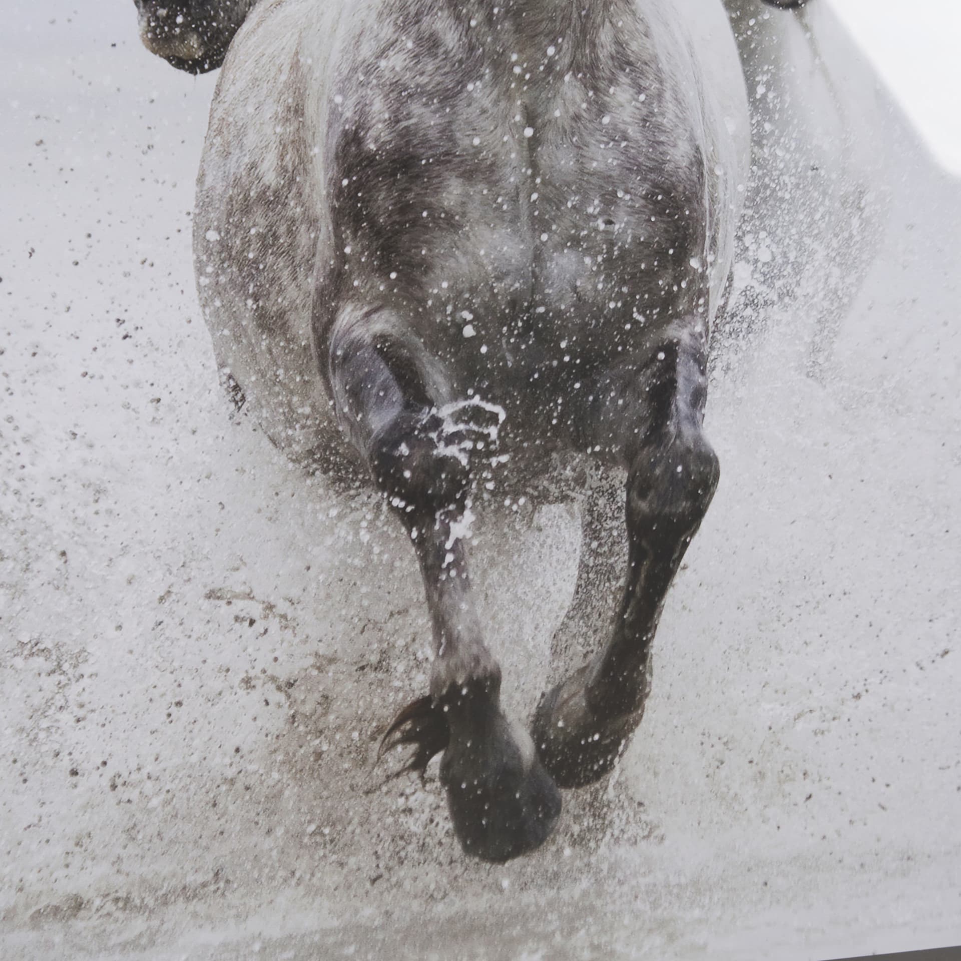 Determination by Irene Suchoki a Framed Photo Art Print Matted under Glass — product photograph