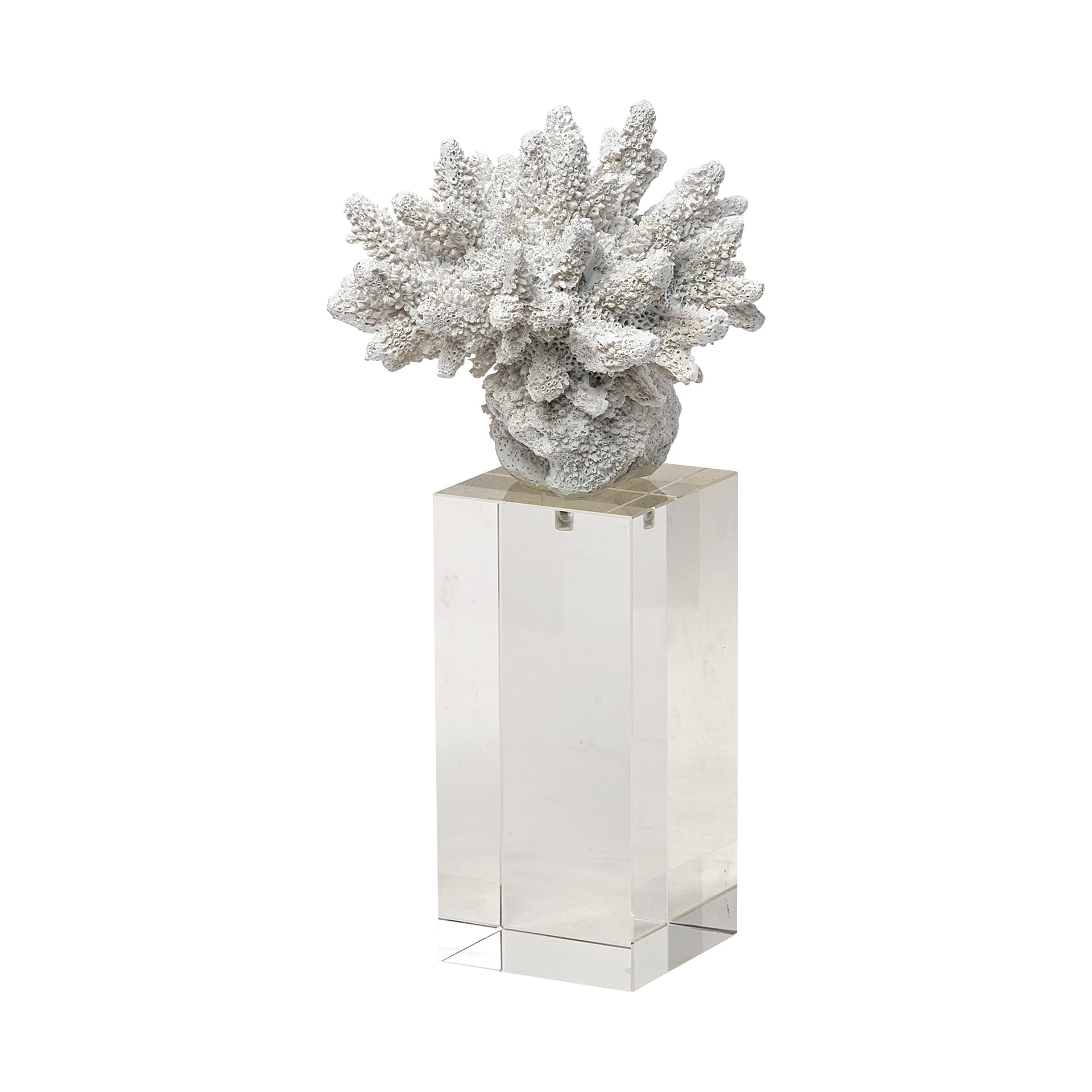 Isla (Large) 5L x 5W White Replica Resin Coral On Clear White Glass — product photograph