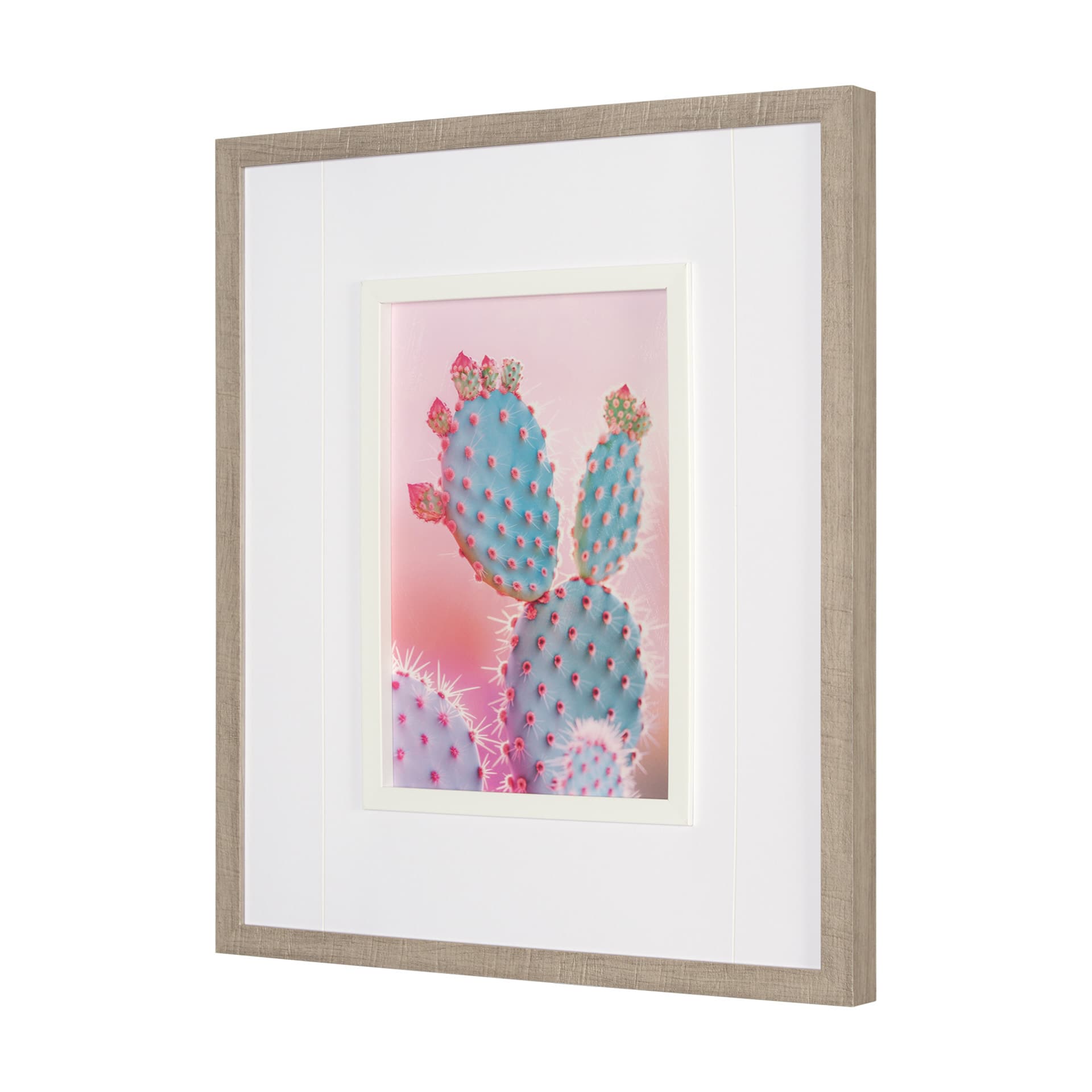 Blush Botanicals - Spines by Philippe Hugonnard a Hand Embellished Framed Photo Art Print Matted und — product photograph