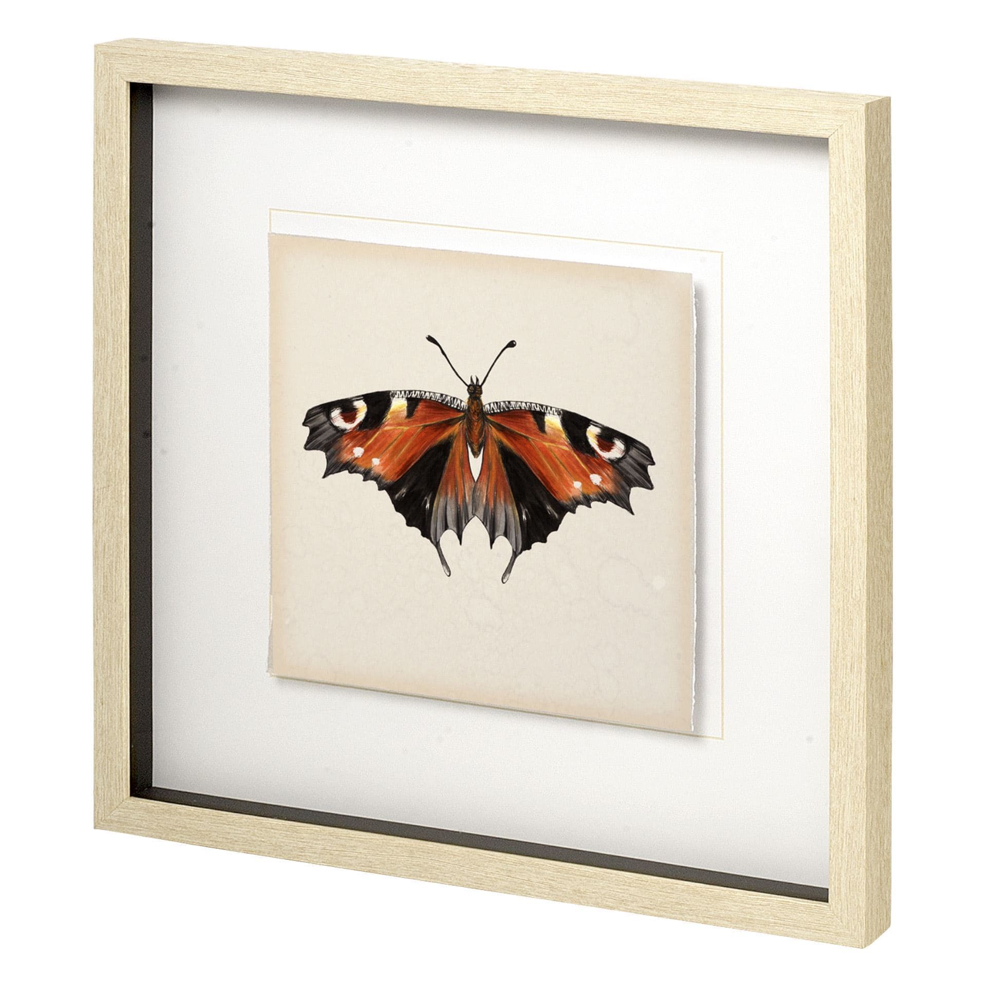 Butterfly Study IV by Melissa Wang a Hand Embellished Textured Framed Art Print Matted under Glass — product photograph