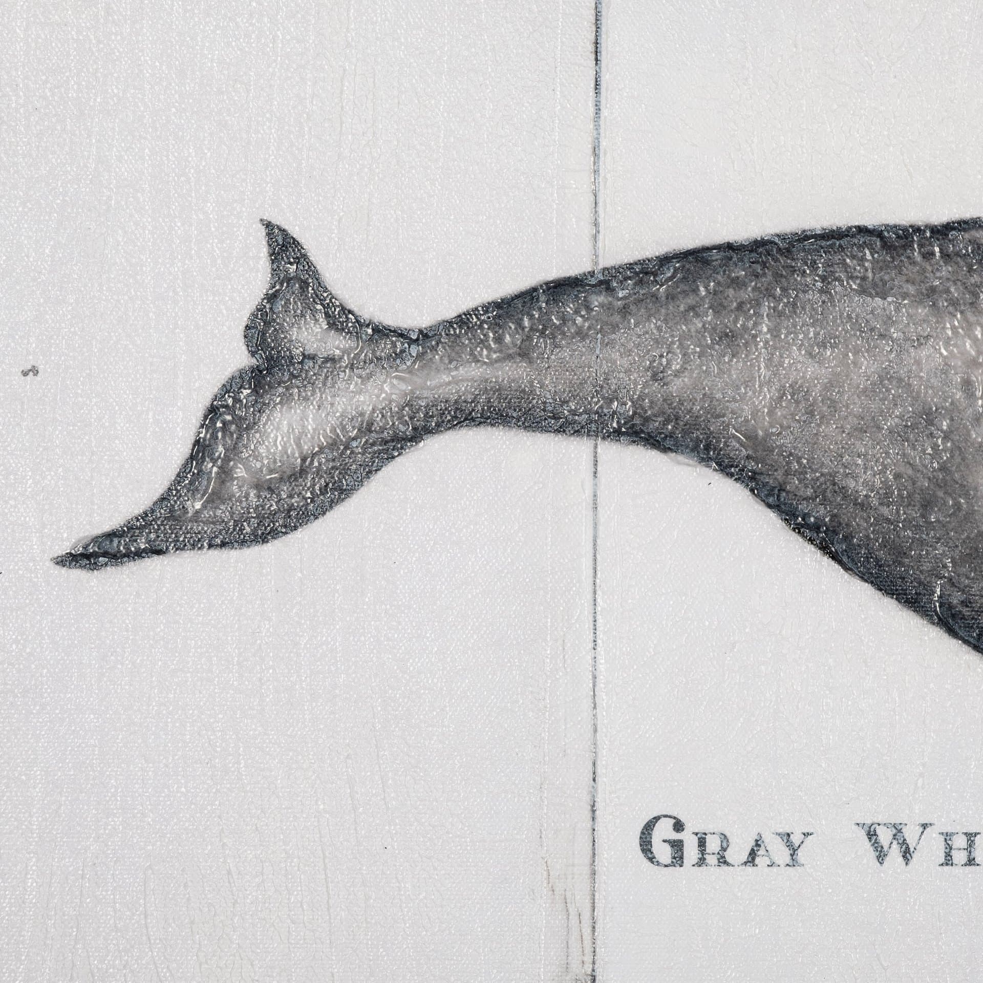 Gray Whale by Mercana Studio a Hand Embellished Textured Canvas — product photograph