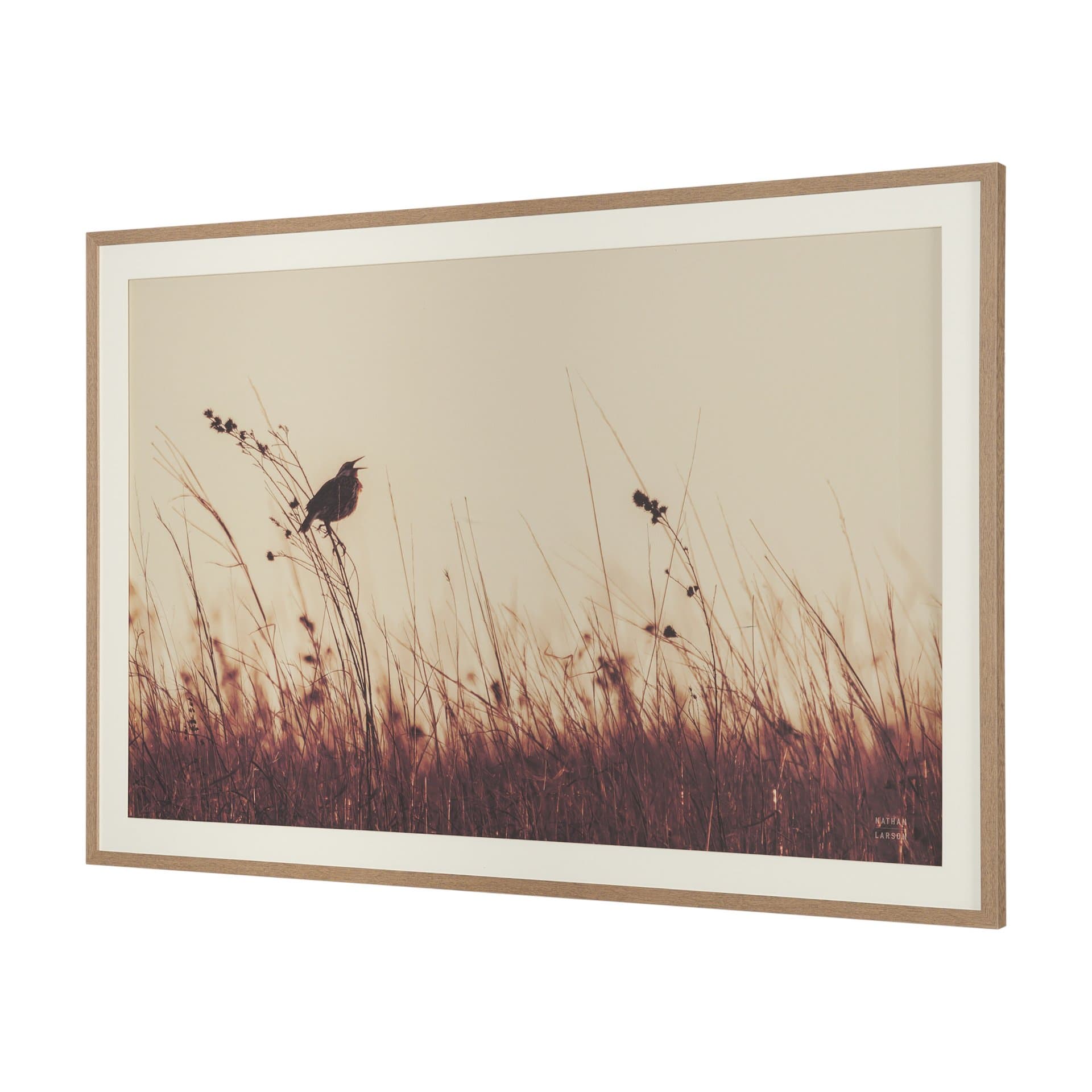 Meadowlark Call Antique by Nathan Larson FramedPhoto Matted under Glass — product photograph