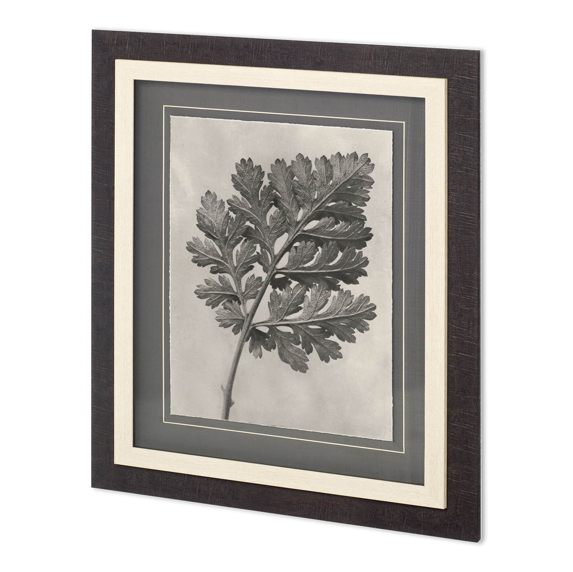 Custom Blossfeldt Botanical III Karl Blossfeldt Hand Embellished Framed Art Print Matted under Glass — product photograph