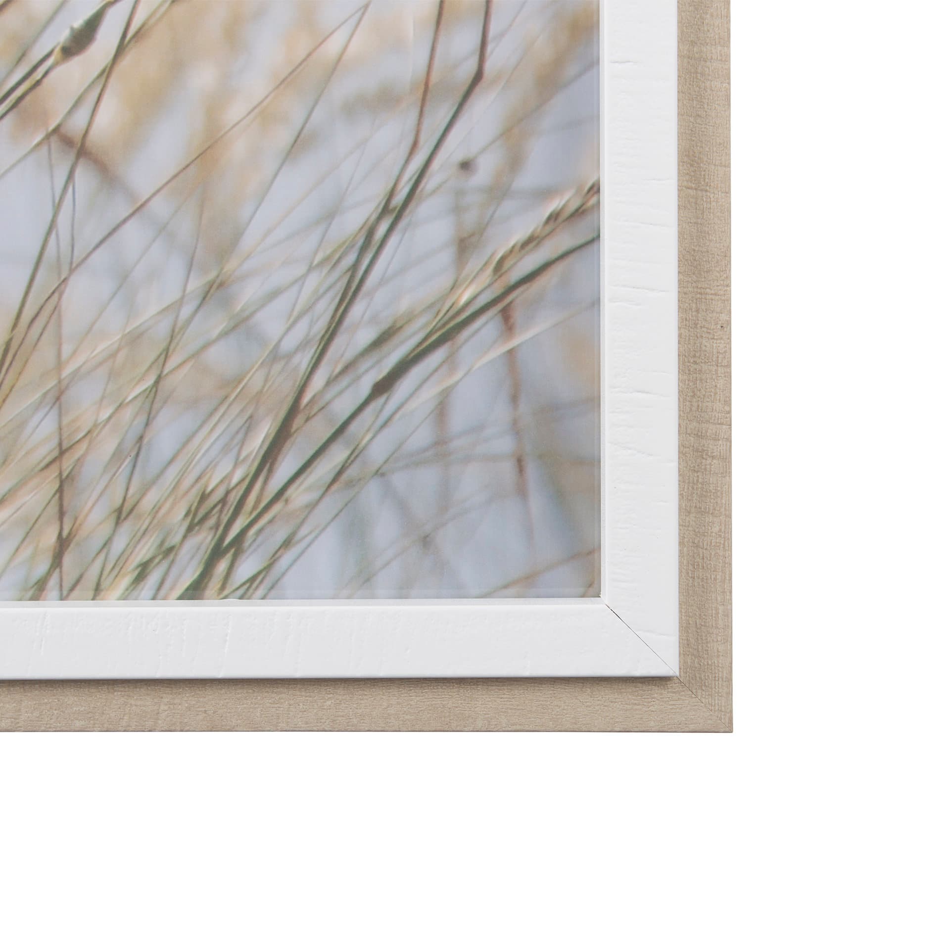 Wildflower Fade - L by Mercana Studio a Framed Photo Art Print Matted under Glass — product photograph