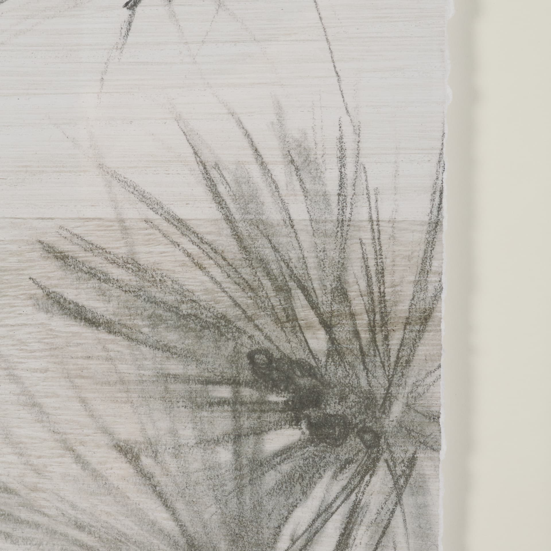 Ponderosa Whisper R by Mercana Studio Hand Embelished Framed Artwork Matted under Glass — product photograph