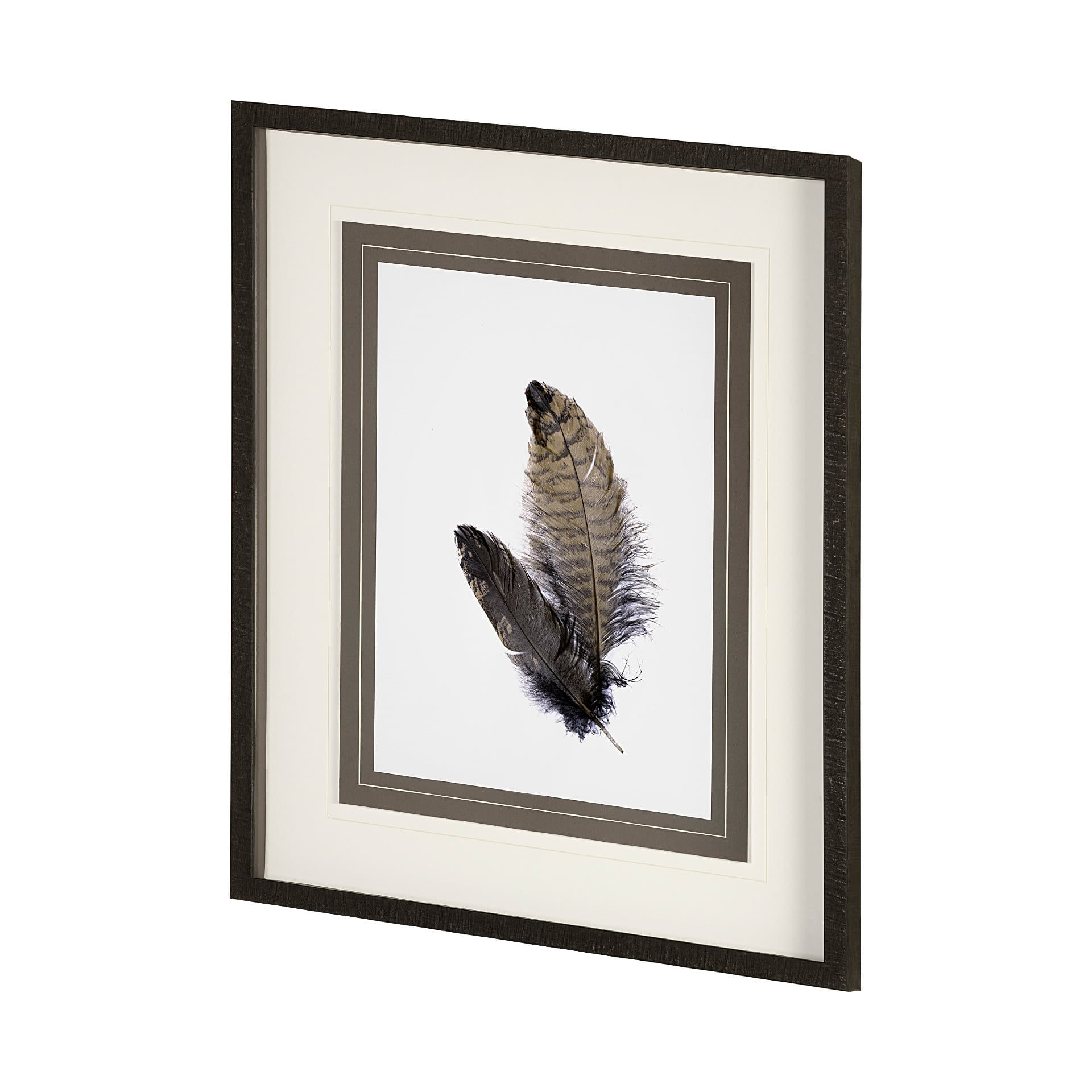 Feathered Friends by Nancy Crowell a Framed Art Print Matted under Glass — product photograph