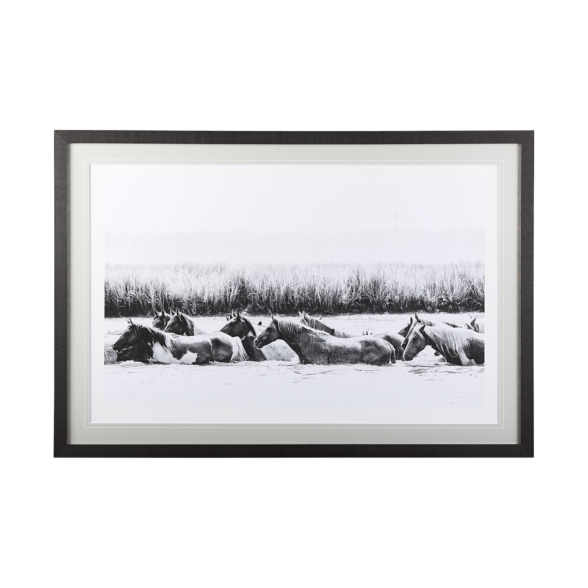 Water Horses III by PHBurchett a Framed Photo Art Print Matted under Glass — product photograph