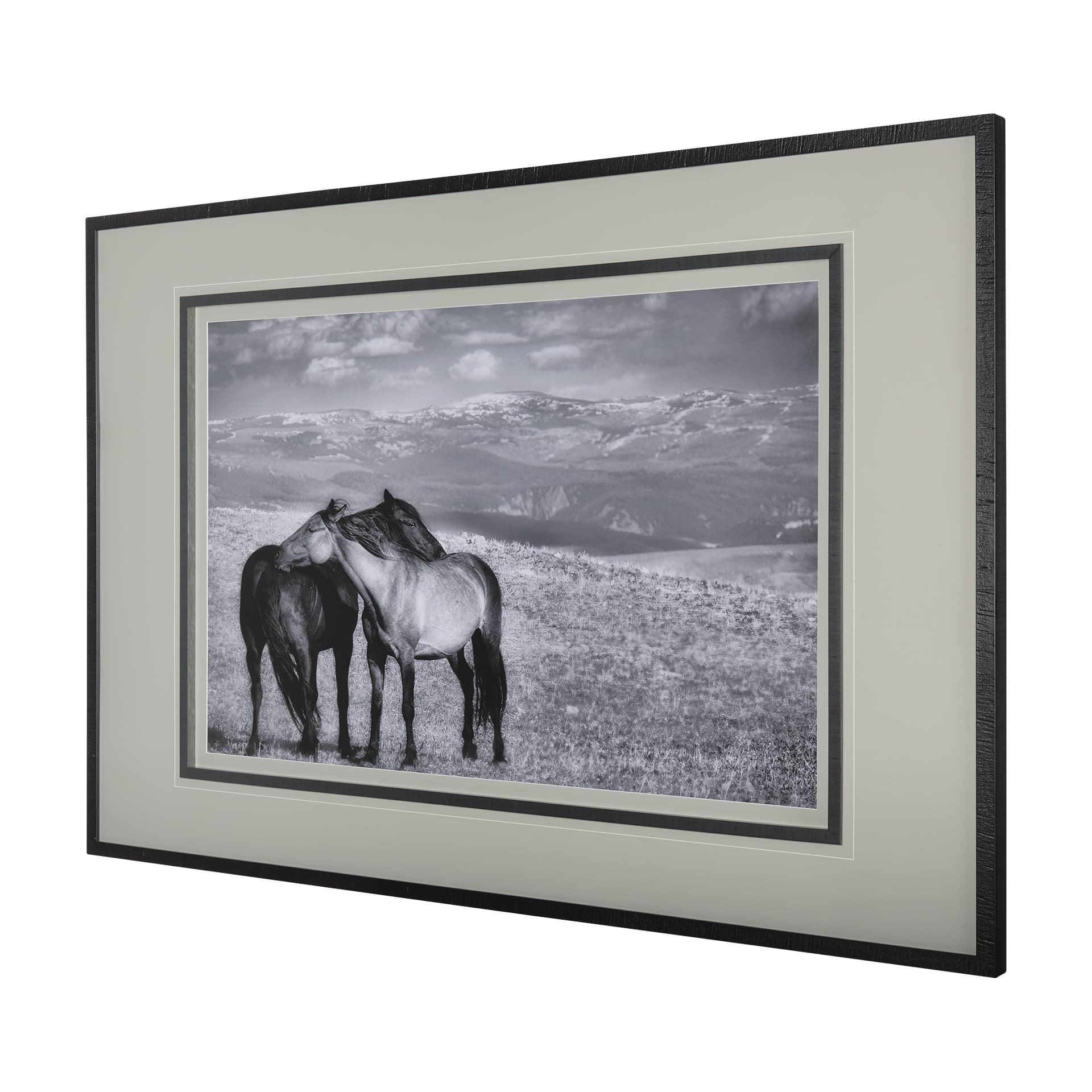 Babies on Board by Mercana Studio a Framed Photo Art Print Matted under Glass — product photograph