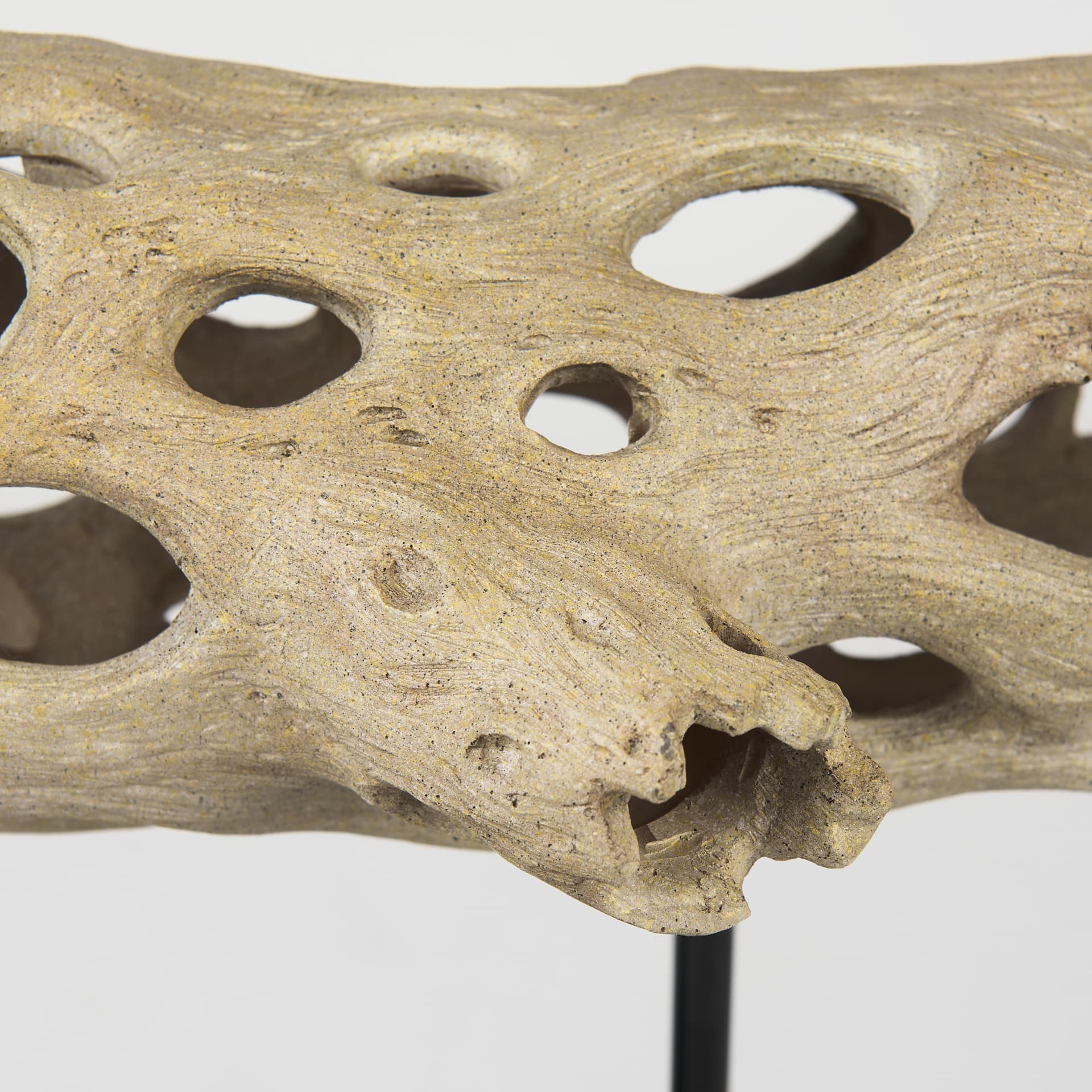 Dwell Cholla Wood Resin Decorative Object — product photograph